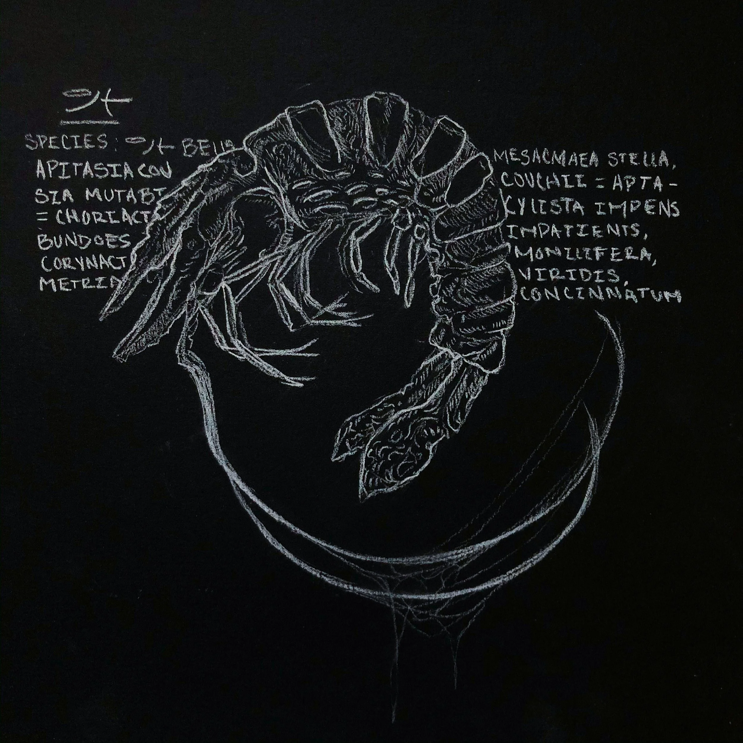 0E5F613E-7BA6-4C54-A765-1A95B25906CC 2.JPG