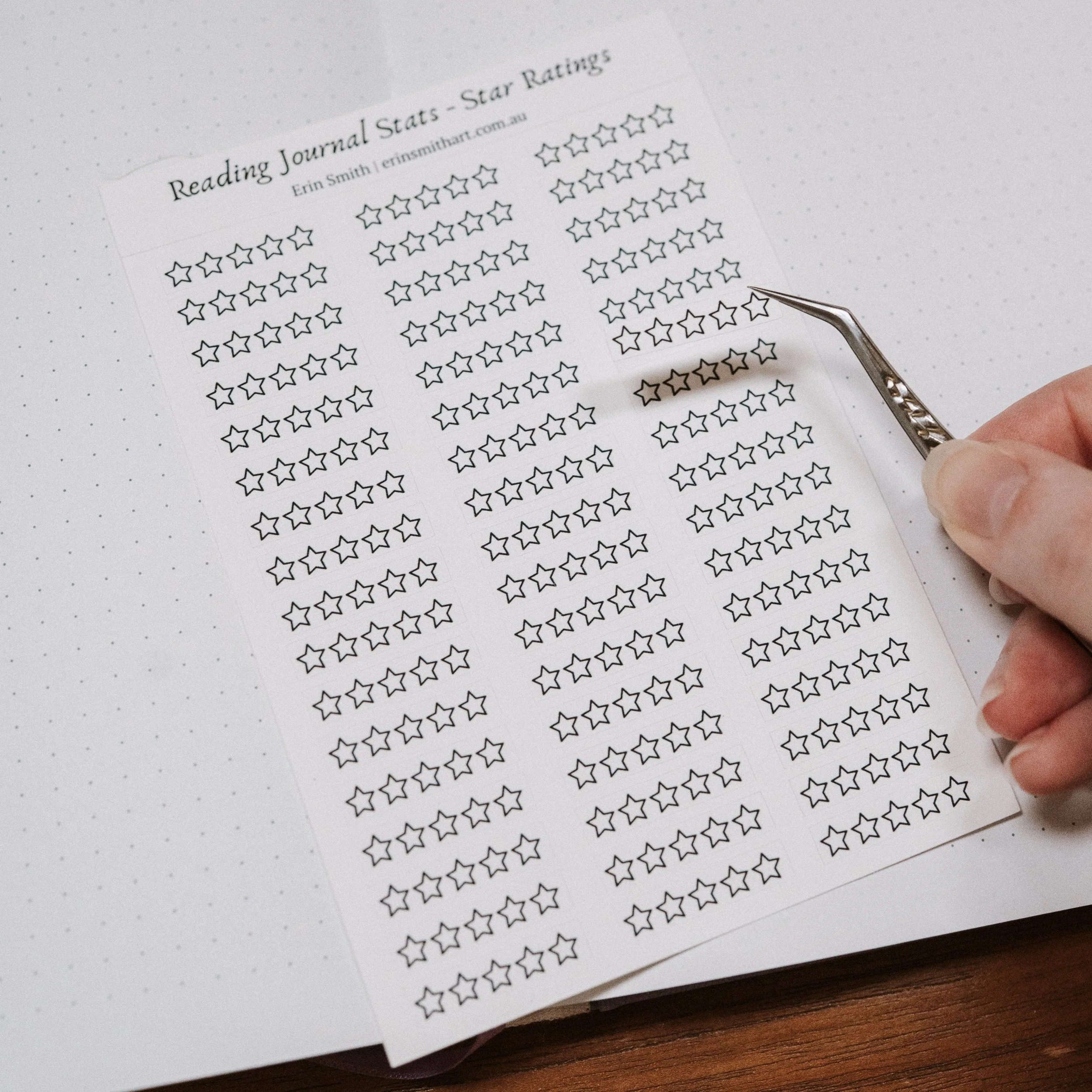Promo photos Reading Journal Stickers Oct 2026-6.jpg