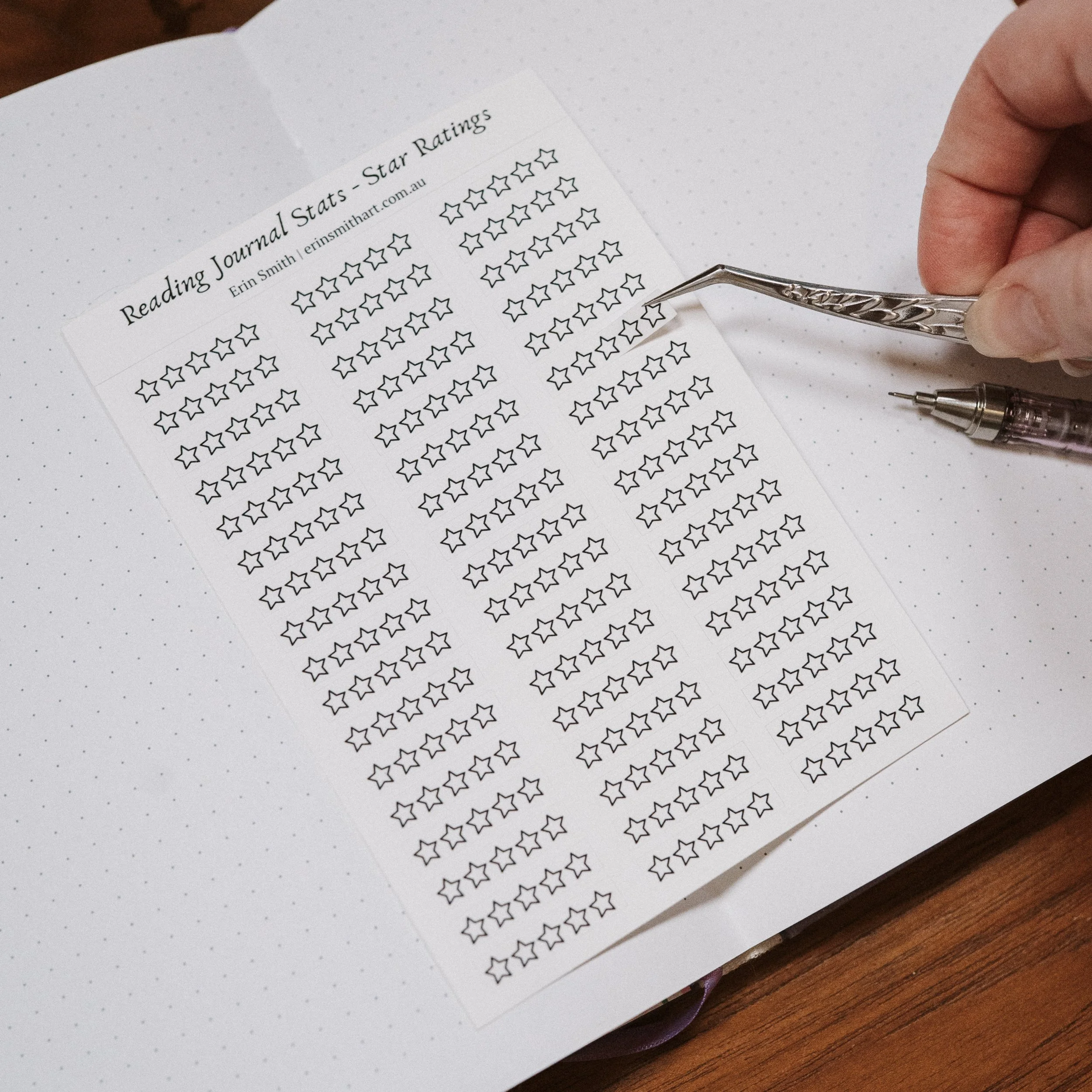 Promo photos Reading Journal Stickers Oct 2026-5.jpg