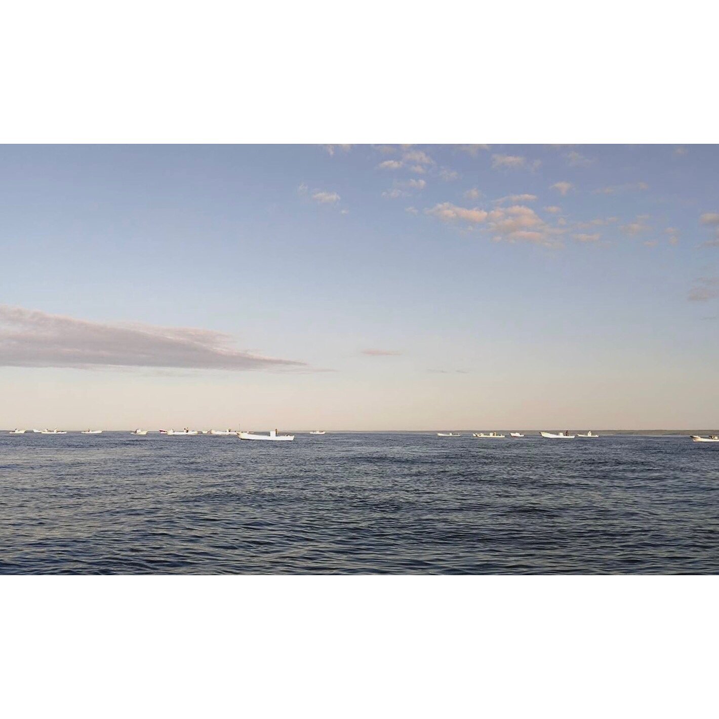 𝐓𝐨𝐝𝐚𝐲 𝐘𝐮𝐫𝐮𝐫𝐢
2025/06/13

Nemuro, Hokkaido, Japan
Photo by Mori Yasuko / Fisherman
Directed by Okada Atsushi

新刊『ユルリ島の馬』
発売：2025年４月25日
著者：岡田敦
発行：青幻舎

JRA賞馬事文化賞受賞
書籍『エピタフ 幻の島、ユルリの光跡』
刊行：2023年６月
著者：岡田敦
発行：インプレス

著者サイン入り発売中！
オンラインショップ「ユルリ島の馬 B