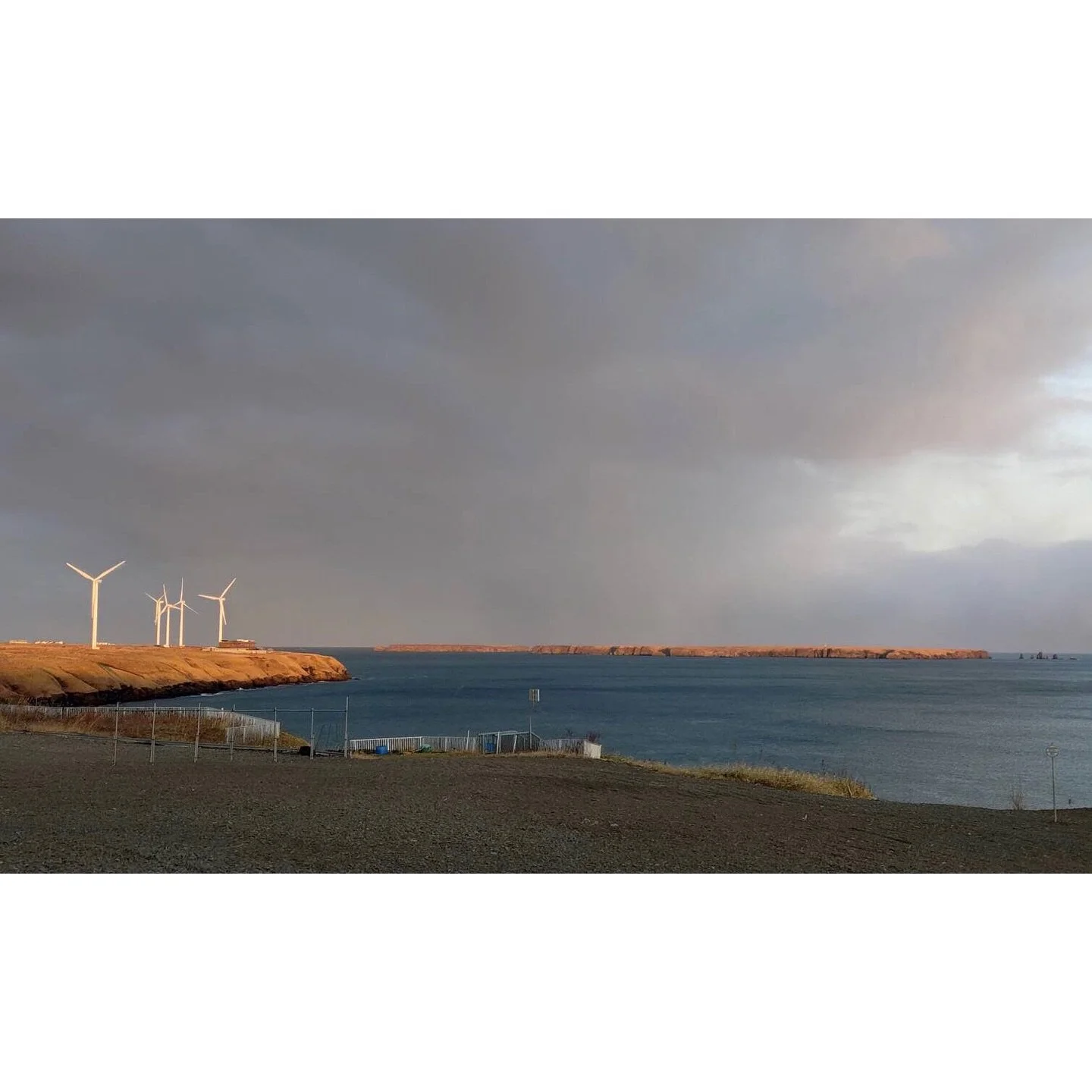 𝐓𝐨𝐝𝐚𝐲 𝐘𝐮𝐫𝐮𝐫𝐢
2025/11/08

Nemuro, Hokkaido, Japan
Photo by Mori Yasuko / Fisherman
Directed by Okada Atsushi

◇神田日勝記念美術館
コレクション展Ⅱ
2025年10月３日－11月30日
出展作品：ユルリ島の馬

◇新刊『ユルリ島の馬』
刊行：2025年
著者：岡田敦
発行：青幻舎

◇JRA賞馬事文化賞受賞作
書籍『エピタフ 幻の島、ユルリの光跡』
刊行：2023年
