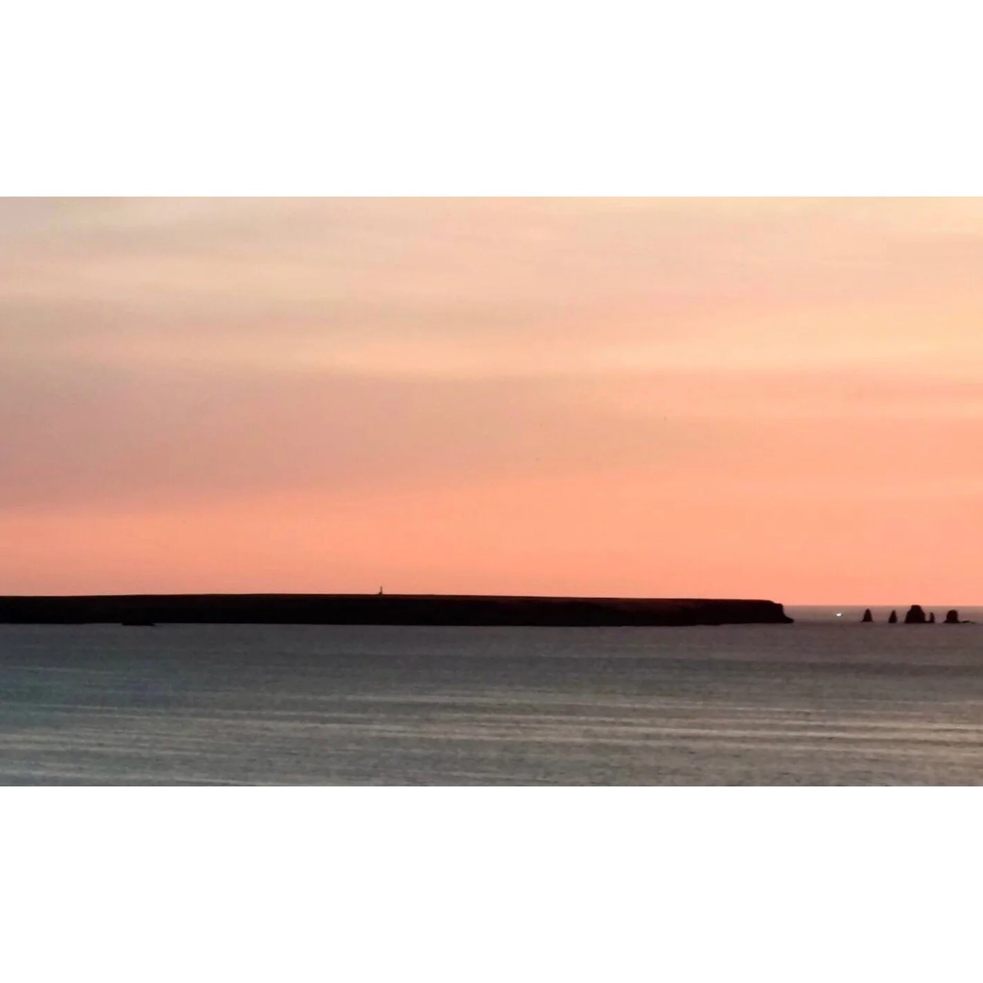 𝐓𝐨𝐝𝐚𝐲 𝐘𝐮𝐫𝐮𝐫𝐢
2025/11/30

Nemuro, Hokkaido, Japan
Photo by Mori Yasuko / Fisherman
Directed by Okada Atsushi

◇神田日勝記念美術館
コレクション展Ⅱ
2025年10月３日－11月30日
出展作品：ユルリ島の馬

◇新刊『ユルリ島の馬』
刊行：2025年
著者：岡田敦
発行：青幻舎

◇JRA賞馬事文化賞受賞作
書籍『エピタフ 幻の島、ユルリの光跡』
刊行：2023年
