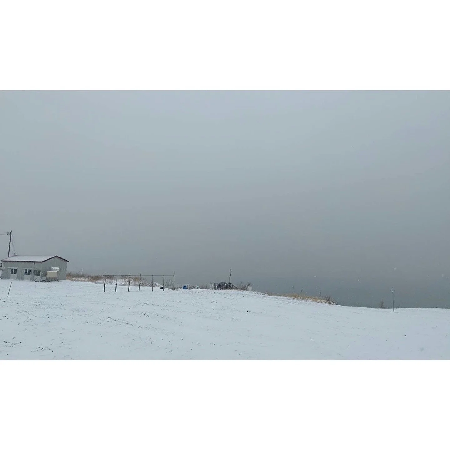 𝐓𝐨𝐝𝐚𝐲 𝐘𝐮𝐫𝐮𝐫𝐢
2025/12/04

Nemuro, Hokkaido, Japan
Photo by Mori Yasuko / Fisherman
Directed by Okada Atsushi

◇神田日勝記念美術館
コレクション展Ⅱ
2025年10月３日－11月30日
出展作品：ユルリ島の馬

◇新刊『ユルリ島の馬』
刊行：2025年
著者：岡田敦
発行：青幻舎

◇JRA賞馬事文化賞受賞作
書籍『エピタフ 幻の島、ユルリの光跡』
刊行：2023年
