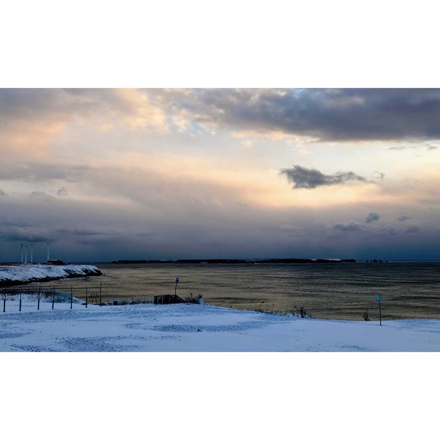 𝐓𝐨𝐝𝐚𝐲 𝐘𝐮𝐫𝐮𝐫𝐢
2025/11/12

Nemuro, Hokkaido, Japan
Photo by Mori Yasuko / Fisherman
Directed by Okada Atsushi

◇神田日勝記念美術館
コレクション展Ⅱ
2025年10月３日－11月30日
出展作品：ユルリ島の馬

◇新刊『ユルリ島の馬』
刊行：2025年
著者：岡田敦
発行：青幻舎

◇JRA賞馬事文化賞受賞作
書籍『エピタフ 幻の島、ユルリの光跡』
刊行：2023年
