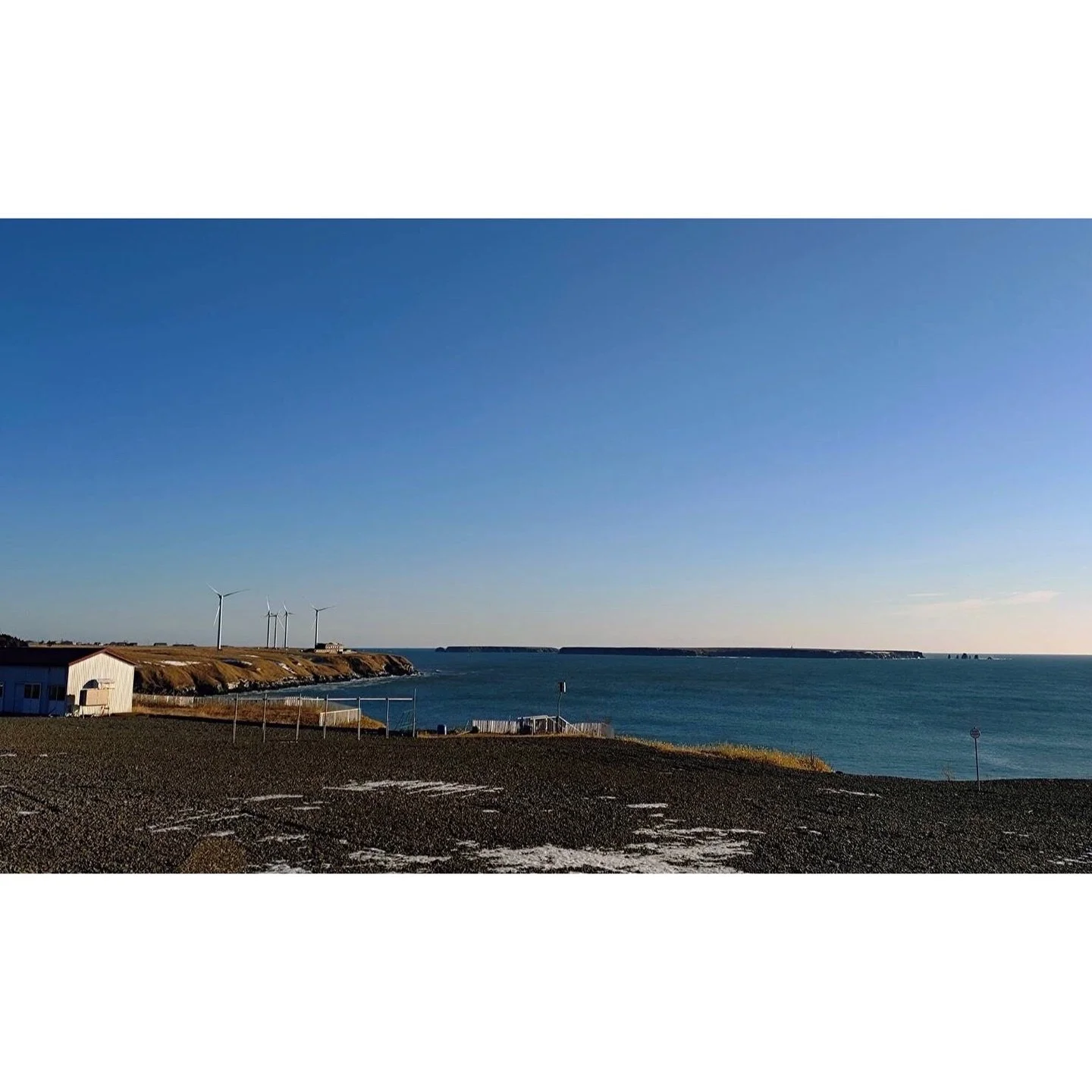 𝐓𝐨𝐝𝐚𝐲 𝐘𝐮𝐫𝐮𝐫𝐢
2025/11/17

Nemuro, Hokkaido, Japan
Photo by Mori Yasuko / Fisherman
Directed by Okada Atsushi

◇神田日勝記念美術館
コレクション展Ⅱ
2025年10月３日－11月30日
出展作品：ユルリ島の馬

◇新刊『ユルリ島の馬』
刊行：2025年
著者：岡田敦
発行：青幻舎

◇JRA賞馬事文化賞受賞作
書籍『エピタフ 幻の島、ユルリの光跡』
刊行：2023年
