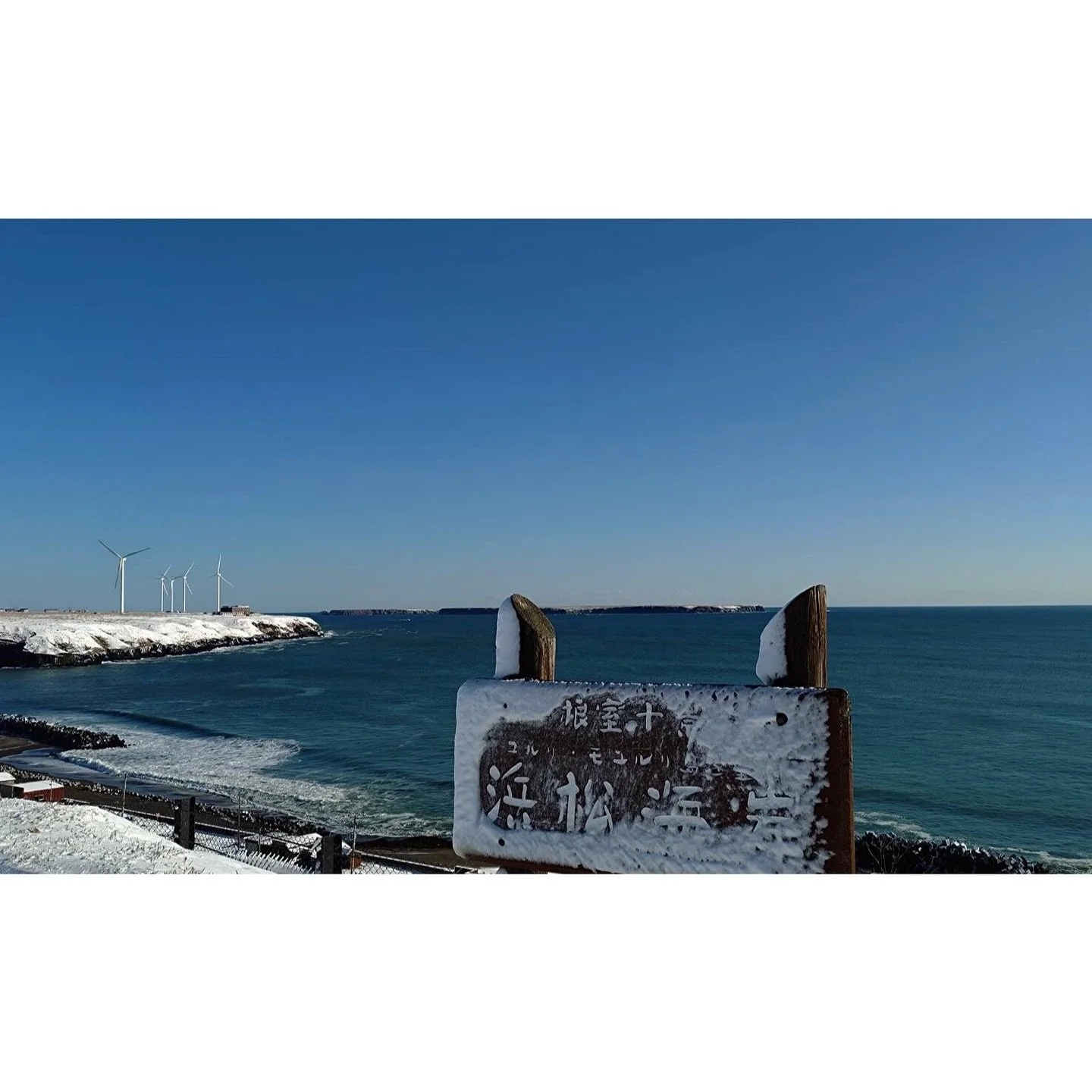 𝐓𝐨𝐝𝐚𝐲 𝐘𝐮𝐫𝐮𝐫𝐢
2025/12/28

Nemuro, Hokkaido, Japan
Photo by Mori Yasuko / Fisherman
Directed by Okada Atsushi

◇ 写真展「ユルリ島の馬」
2026年2月20日（金）- 3月5日（木）
富士フイルムフォトサロン 東京

2026年9月18日（金）- 9月23日（水）
富士フイルムフォトサロン 札幌

2026年10月30日（金）- 11月12日（木）
富士フイルムフォト