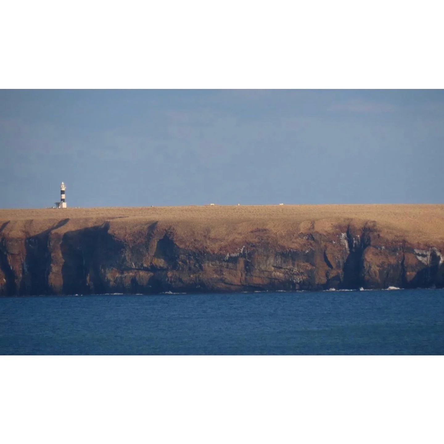 𝐓𝐨𝐝𝐚𝐲 𝐘𝐮𝐫𝐮𝐫𝐢
2025/12/31

Nemuro, Hokkaido, Japan
Photo by Mori Yasuko / Fisherman
Directed by Okada Atsushi

◇ 写真展「ユルリ島の馬」
2026年2月20日（金）- 3月5日（木）
富士フイルムフォトサロン 東京

2026年9月18日（金）- 9月23日（水）
富士フイルムフォトサロン 札幌

2026年10月30日（金）- 11月12日（木）
富士フイルムフォト