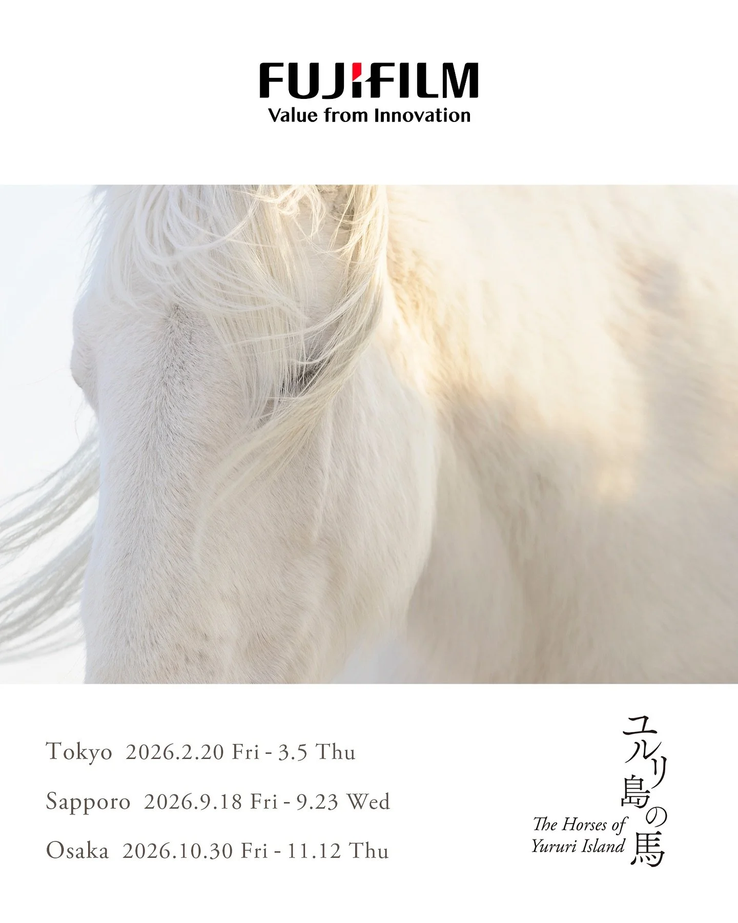 フジフイルム スクエア 企画写真展
写真展「ユルリ島の馬 ~The Horses of Yururi Island~」

2026年2月20日（金）- 3月5日（木）
富士フイルムフォトサロン 東京

2026年9月18日（金）- 9月23日（水）
富士フイルムフォトサロン 札幌

2026年10月30日（金）- 11月12日（木）
富士フイルムフォトサロン 大阪

■ 写真展概要
フジフイルム スクエアでは、2026年２月20日（金）から３月５日（木）まで、岡田敦氏の写真展「ユルリ島の馬 ~T