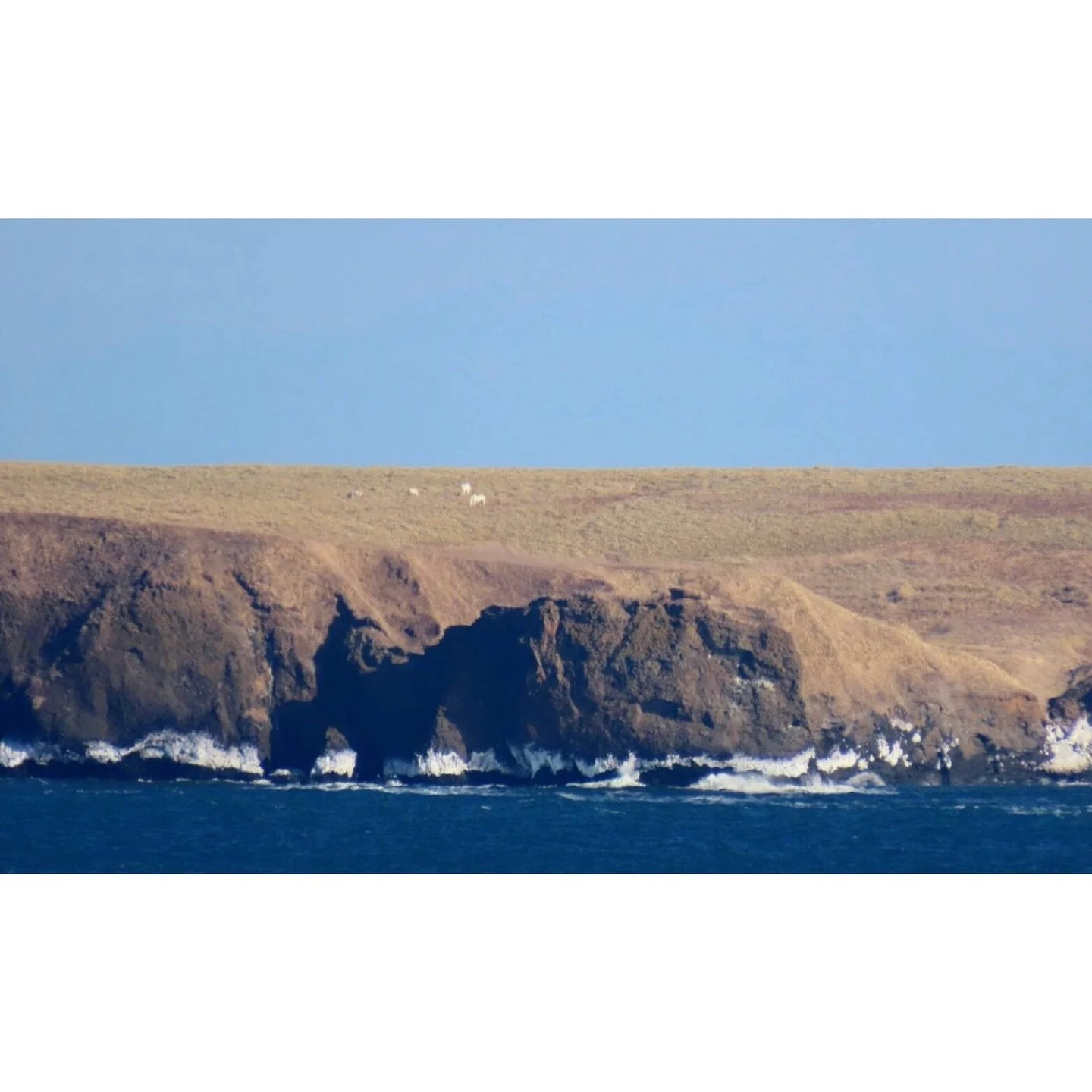 𝐓𝐨𝐝𝐚𝐲 𝐘𝐮𝐫𝐮𝐫𝐢
2026/01/15

Nemuro, Hokkaido, Japan
Photo by Mori Yasuko / Fisherman
Directed by Okada Atsushi

◇ 写真展「ユルリ島の馬」
2026年2月20日（金）- 3月5日（木）
富士フイルムフォトサロン 東京

2026年9月18日（金）- 9月23日（水）
富士フイルムフォトサロン 札幌

2026年10月30日（金）- 11月12日（木）
富士フイルムフォト