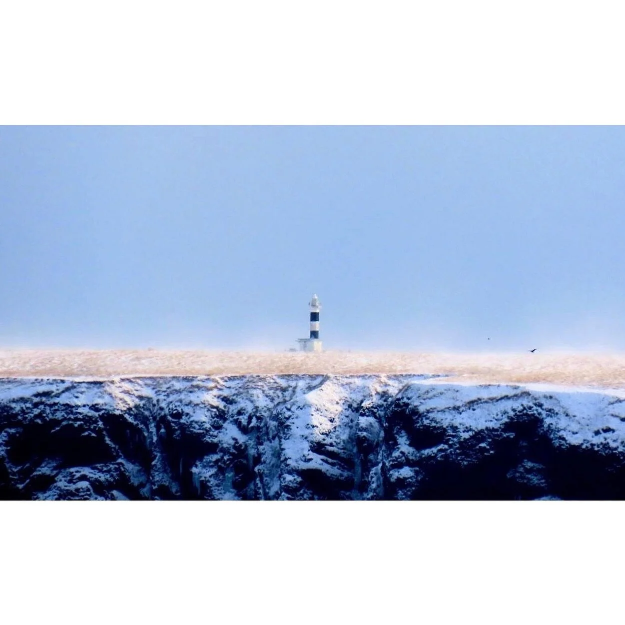 𝐓𝐨𝐝𝐚𝐲 𝐘𝐮𝐫𝐮𝐫𝐢
2026/01/20

Nemuro, Hokkaido, Japan
Photo by Mori Yasuko / Fisherman
Directed by Okada Atsushi

◇ 写真展「ユルリ島の馬」
2026年2月20日（金）- 3月5日（木）
富士フイルムフォトサロン 東京

2026年9月18日（金）- 9月23日（水）
富士フイルムフォトサロン 札幌

2026年10月30日（金）- 11月12日（木）
富士フイルムフォト