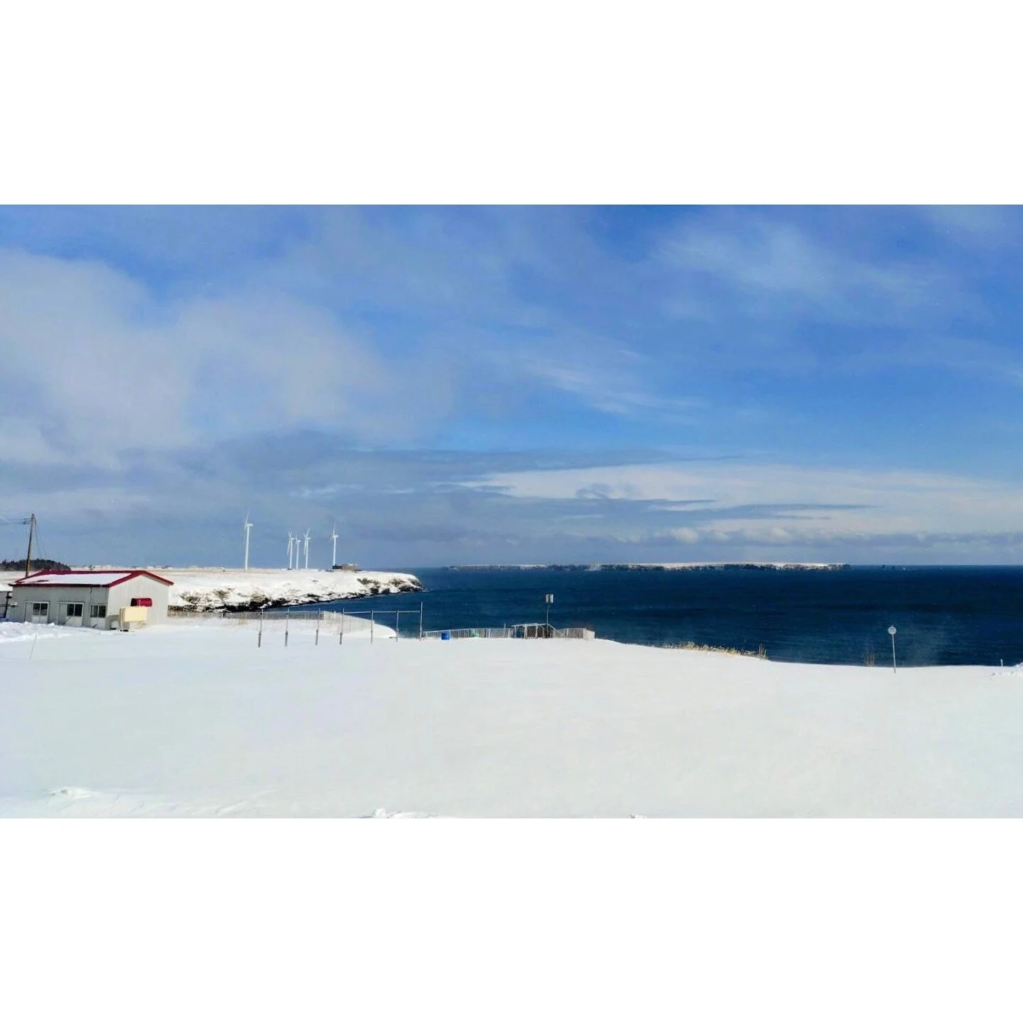 𝐓𝐨𝐝𝐚𝐲 𝐘𝐮𝐫𝐮𝐫𝐢
2026/01/27

Nemuro, Hokkaido, Japan
Photo by Mori Yasuko / Fisherman
Directed by Okada Atsushi

◇ 写真展「ユルリ島の馬」
2026年2月20日（金）- 3月5日（木）
富士フイルムフォトサロン 東京

ギャラリートーク
2月22日（日）
3月1日（日）
各回14時から30~40分間
参加無料・予約不要

◇ 巡回展
2026年9月18日（金）- 9月2