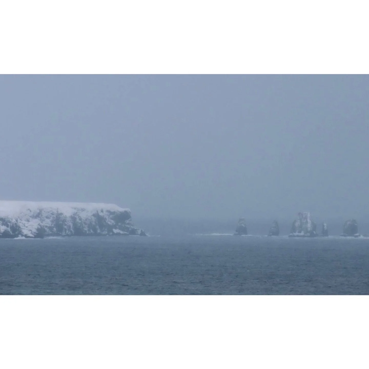 𝐓𝐨𝐝𝐚𝐲 𝐘𝐮𝐫𝐮𝐫𝐢
2026/01/28

Nemuro, Hokkaido, Japan
Photo by Mori Yasuko / Fisherman
Directed by Okada Atsushi

◇ 写真展「ユルリ島の馬」
2026年2月20日（金）- 3月5日（木）
富士フイルムフォトサロン 東京

ギャラリートーク
2月22日（日）
3月1日（日）
各回14時から30~40分間
参加無料・予約不要

◇ 巡回展
2026年9月18日（金）- 9月2