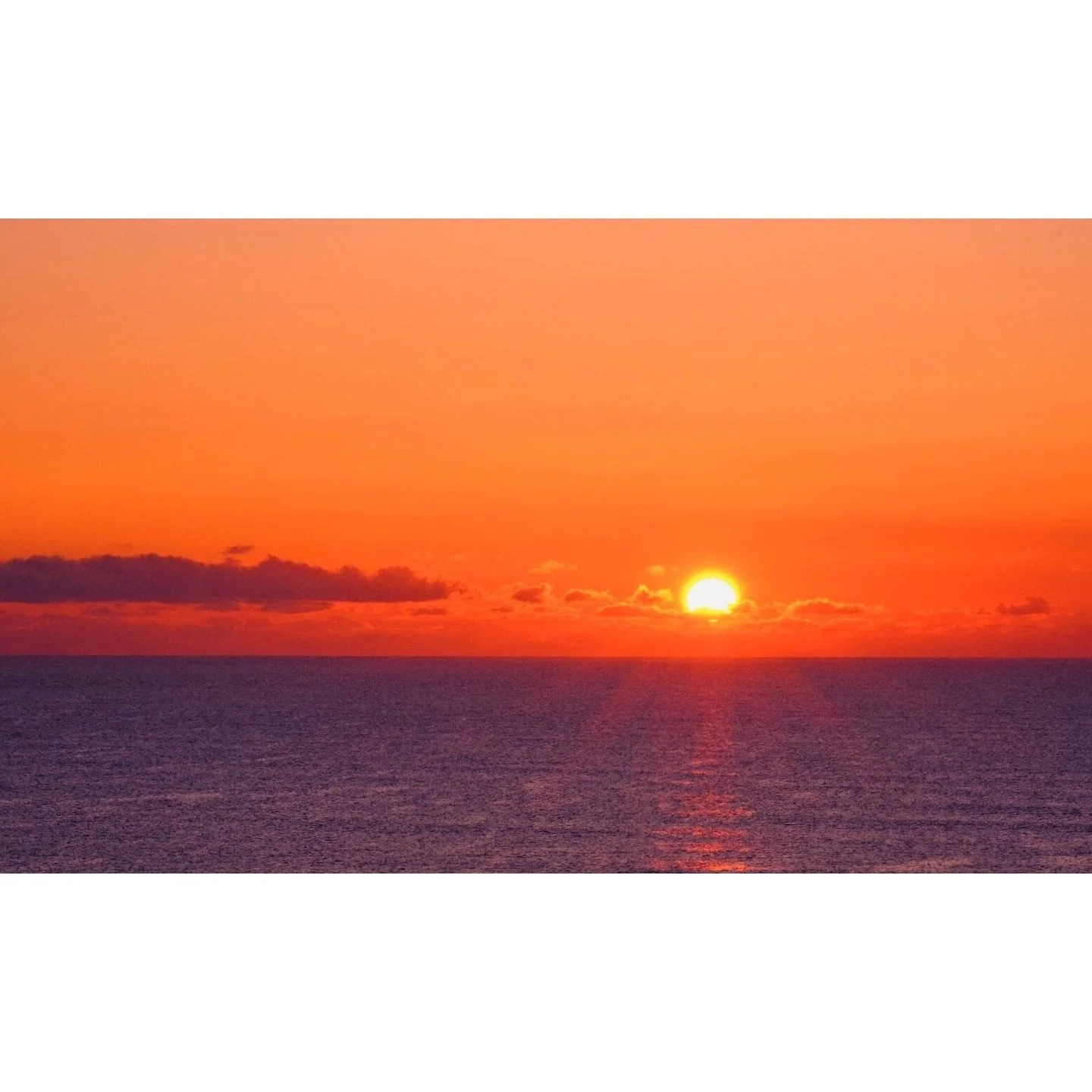 𝐓𝐨𝐝𝐚𝐲 𝐘𝐮𝐫𝐮𝐫𝐢
2026/02/12

Nemuro, Hokkaido, Japan
Photo by Mori Yasuko / Fisherman
Directed by Okada Atsushi

◇ 写真展「ユルリ島の馬」
2月20日（金）- 3月5日（木）
富士フイルムフォトサロン 東京

ギャラリートーク
2月22日（日）
3月1日（日）
各回14時から30~40分間
参加無料・予約不要

◇ 巡回展
9月18日（金）- 9月23日（水）
富士フイ