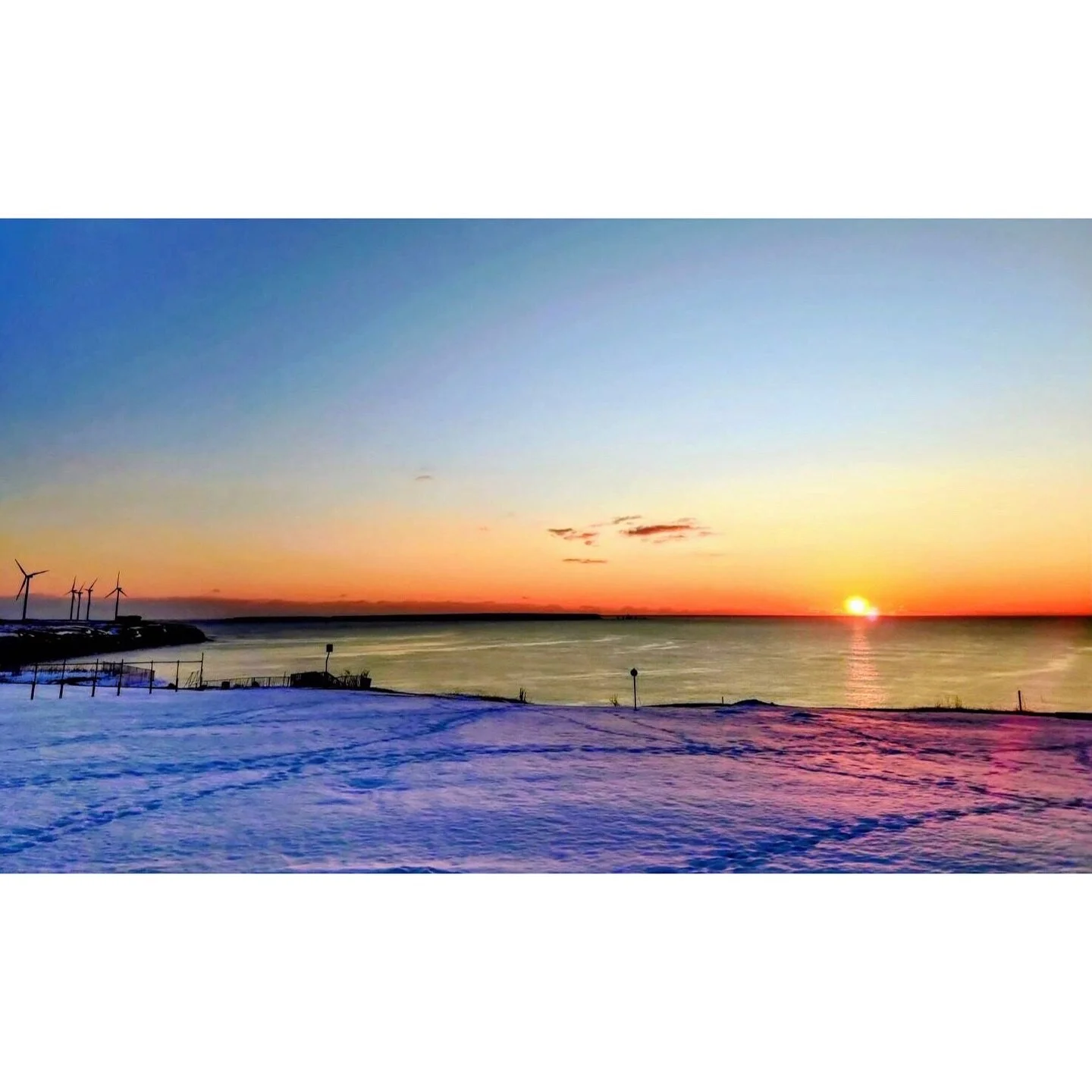 𝐓𝐨𝐝𝐚𝐲 𝐘𝐮𝐫𝐮𝐫𝐢
2026/02/13

Nemuro, Hokkaido, Japan
Photo by Mori Yasuko / Fisherman
Directed by Okada Atsushi

◇ 写真展「ユルリ島の馬」
2月20日（金）- 3月5日（木）
富士フイルムフォトサロン 東京

ギャラリートーク
2月22日（日）
3月1日（日）
各回14時から30~40分間
参加無料・予約不要

◇ 巡回展
9月18日（金）- 9月23日（水）
富士フイ