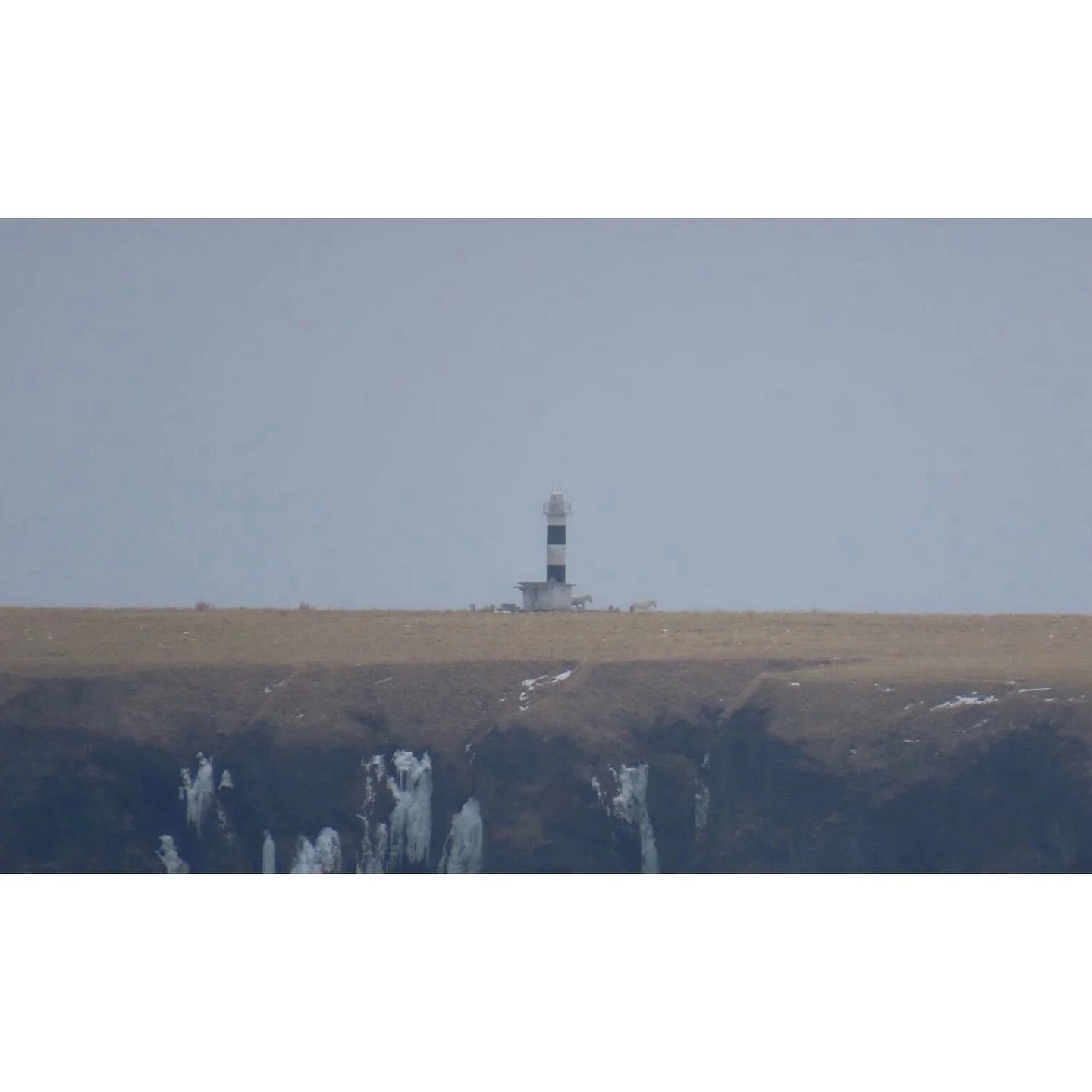 𝐓𝐨𝐝𝐚𝐲 𝐘𝐮𝐫𝐮𝐫𝐢
2026/02/19

Nemuro, Hokkaido, Japan
Photo by Mori Yasuko / Fisherman
Directed by Okada Atsushi

◇ 写真展「ユルリ島の馬」
2月20日（金）- 3月5日（木）
富士フイルムフォトサロン 東京

ギャラリートーク
2月22日（日）
3月1日（日）
各回14時から30~40分間
参加無料・予約不要

◇ 巡回展
9月18日（金）- 9月23日（水）
富士フイ