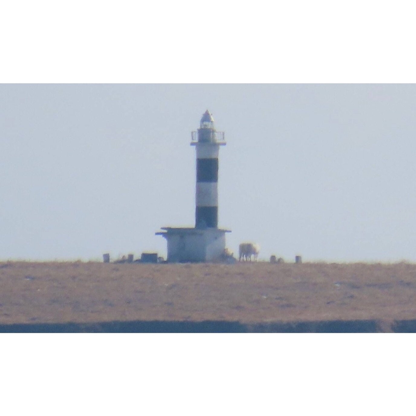 𝐓𝐨𝐝𝐚𝐲 𝐘𝐮𝐫𝐮𝐫𝐢
2026/02/20

Nemuro, Hokkaido, Japan
Photo by Mori Yasuko / Fisherman
Directed by Okada Atsushi

◇ 写真展「ユルリ島の馬」
2月20日（金）- 3月5日（木）
富士フイルムフォトサロン 東京

ギャラリートーク
2月22日（日）
3月1日（日）
各回14時から30~40分間
参加無料・予約不要

◇ 巡回展
9月18日（金）- 9月23日（水）
富士フイ