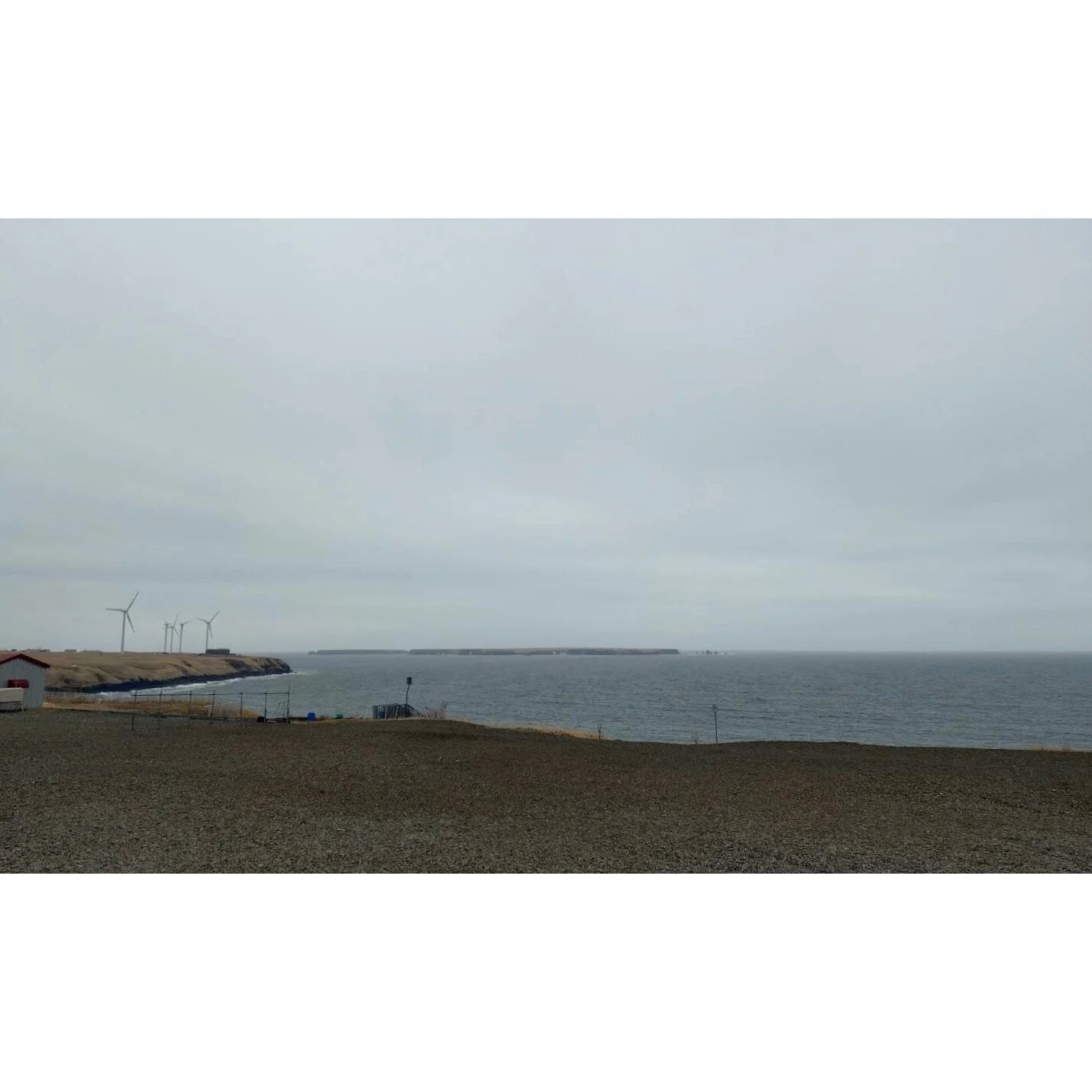 𝐓𝐨𝐝𝐚𝐲 𝐘𝐮𝐫𝐮𝐫𝐢
2026/02/27

Nemuro, Hokkaido, Japan
Photo by Mori Yasuko / Fisherman
Directed by Okada Atsushi

◇ 写真展「ユルリ島の馬」
2月20日（金）- 3月5日（木）
富士フイルムフォトサロン 東京

ギャラリートーク
3月1日（日）
各回14時から30~40分間
参加無料・予約不要

◇ 巡回展
9月18日（金）- 9月23日（水）
富士フイルムフォトサロン 