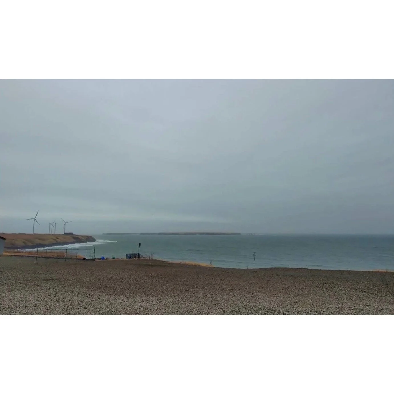 𝐓𝐨𝐝𝐚𝐲 𝐘𝐮𝐫𝐮𝐫𝐢
2026/03/04

Nemuro, Hokkaido, Japan
Photo by Mori Yasuko / Fisherman
Directed by Okada Atsushi

◇ 写真展「ユルリ島の馬」
2月20日（金）- 3月5日（木）
富士フイルムフォトサロン 東京

ギャラリートーク
3月1日（日）
各回14時から30~40分間
参加無料・予約不要

◇ 巡回展
9月18日（金）- 9月23日（水）
富士フイルムフォトサロン 