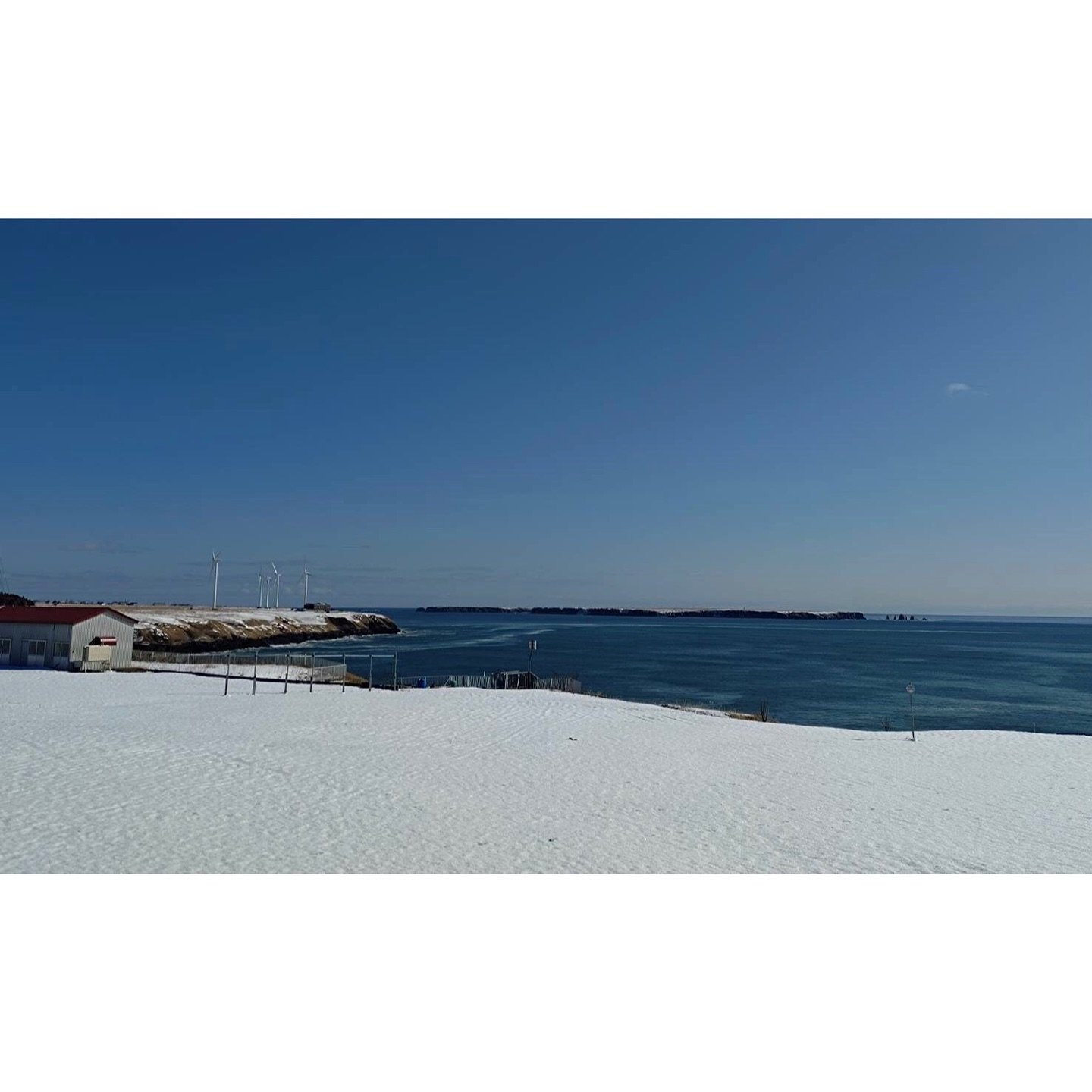 𝐓𝐨𝐝𝐚𝐲 𝐘𝐮𝐫𝐮𝐫𝐢
2026/03/09

Nemuro, Hokkaido, Japan
Photo by Mori Yasuko / Fisherman
Directed by Okada Atsushi

◇ 写真展「ユルリ島の馬」
9月18日（金）- 9月23日（水）
富士フイルムフォトサロン 札幌

10月30日（金）- 11月12日（木）
富士フイルムフォトサロン 大阪

&ndash;

◇ JRA賞馬事文化賞受賞作
書籍『エピタフ 幻の島、ユルリの光跡