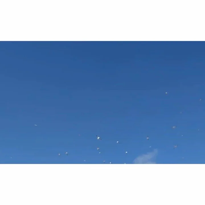 𝐓𝐨𝐝𝐚𝐲 𝐘𝐮𝐫𝐮𝐫𝐢
2026/03/12

Nemuro, Hokkaido, Japan
Photo by Mori Yasuko / Fisherman
Directed by Okada Atsushi

◇ 写真展「ユルリ島の馬」
9月18日（金）- 9月23日（水）
富士フイルムフォトサロン 札幌

10月30日（金）- 11月12日（木）
富士フイルムフォトサロン 大阪

&ndash;

◇ JRA賞馬事文化賞受賞作
書籍『エピタフ 幻の島、ユルリの光跡