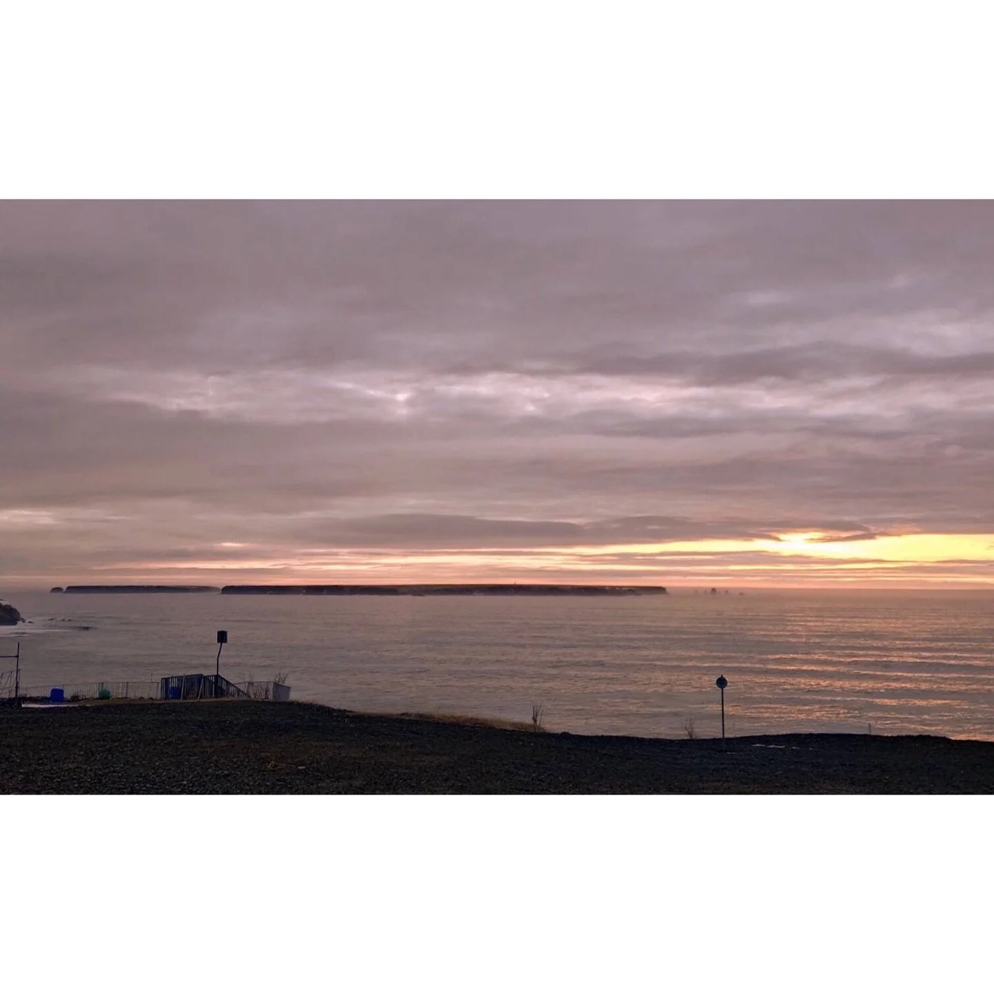 𝐓𝐨𝐝𝐚𝐲 𝐘𝐮𝐫𝐮𝐫𝐢
2026/03/15

Nemuro, Hokkaido, Japan
Photo by Mori Yasuko / Fisherman
Directed by Okada Atsushi

◇ 写真展「ユルリ島の馬」
9月18日（金）- 9月23日（水）
富士フイルムフォトサロン 札幌

10月30日（金）- 11月12日（木）
富士フイルムフォトサロン 大阪

&ndash;

◇ JRA賞馬事文化賞受賞作
書籍『エピタフ 幻の島、ユルリの光跡