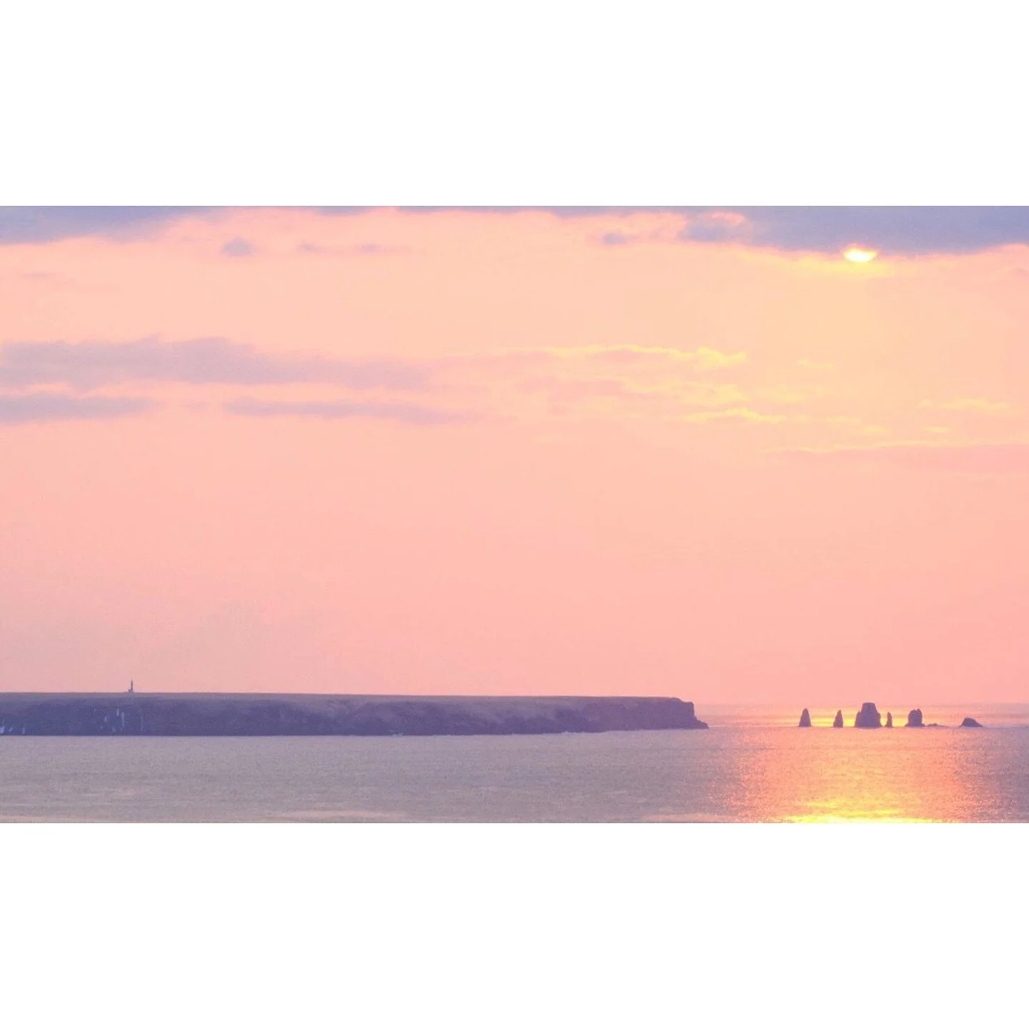 𝐓𝐨𝐝𝐚𝐲 𝐘𝐮𝐫𝐮𝐫𝐢
2026/03/22

Nemuro, Hokkaido, Japan
Photo by Mori Yasuko / Fisherman
Directed by Okada Atsushi

◇ 写真展「ユルリ島の馬」
9月18日（金）- 9月23日（水）
富士フイルムフォトサロン 札幌

10月30日（金）- 11月12日（木）
富士フイルムフォトサロン 大阪

&ndash;

◇ JRA賞馬事文化賞受賞作
書籍『エピタフ 幻の島、ユルリの光跡