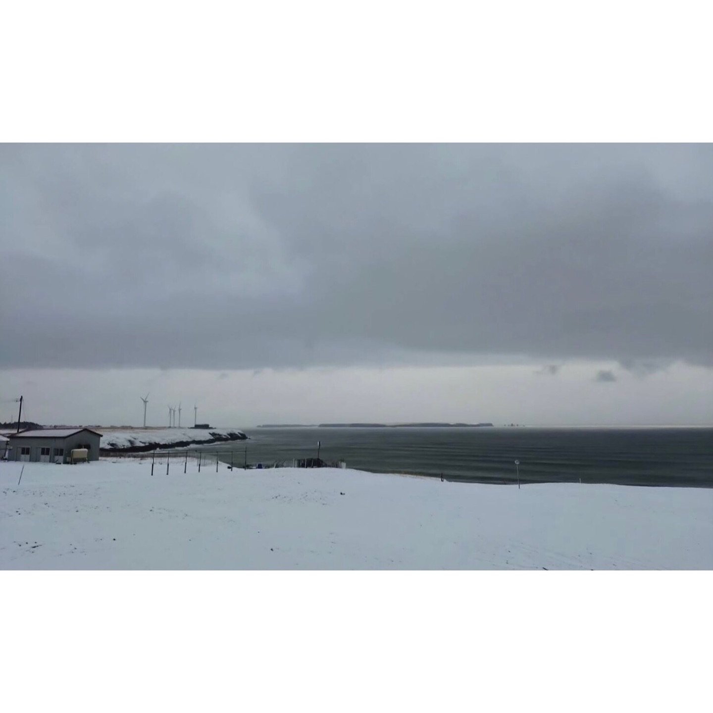 𝐓𝐨𝐝𝐚𝐲 𝐘𝐮𝐫𝐮𝐫𝐢
2026/04/03

Nemuro, Hokkaido, Japan
Photo by Mori Yasuko / Fisherman
Directed by Okada Atsushi

◇ 写真展「ユルリ島の馬」
9月18日（金）- 9月23日（水）
富士フイルムフォトサロン 札幌

10月30日（金）- 11月12日（木）
富士フイルムフォトサロン 大阪

&ndash;

◇ JRA賞馬事文化賞受賞作
書籍『エピタフ 幻の島、ユルリの光跡