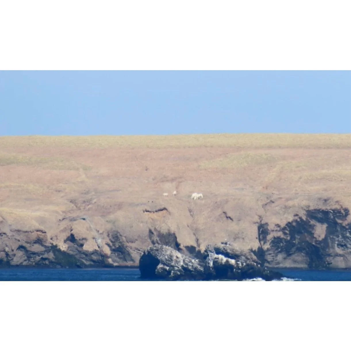 𝐓𝐨𝐝𝐚𝐲 𝐘𝐮𝐫𝐮𝐫𝐢
2026/04/17

Nemuro, Hokkaido, Japan
Photo by Mori Yasuko / Fisherman
Directed by Okada Atsushi

◇ 写真展「ユルリ島の馬」
9月18日（金）- 9月23日（水）
富士フイルムフォトサロン 札幌

10月30日（金）- 11月12日（木）
富士フイルムフォトサロン 大阪

&ndash;

◇ JRA賞馬事文化賞受賞作
書籍『エピタフ 幻の島、ユルリの光跡