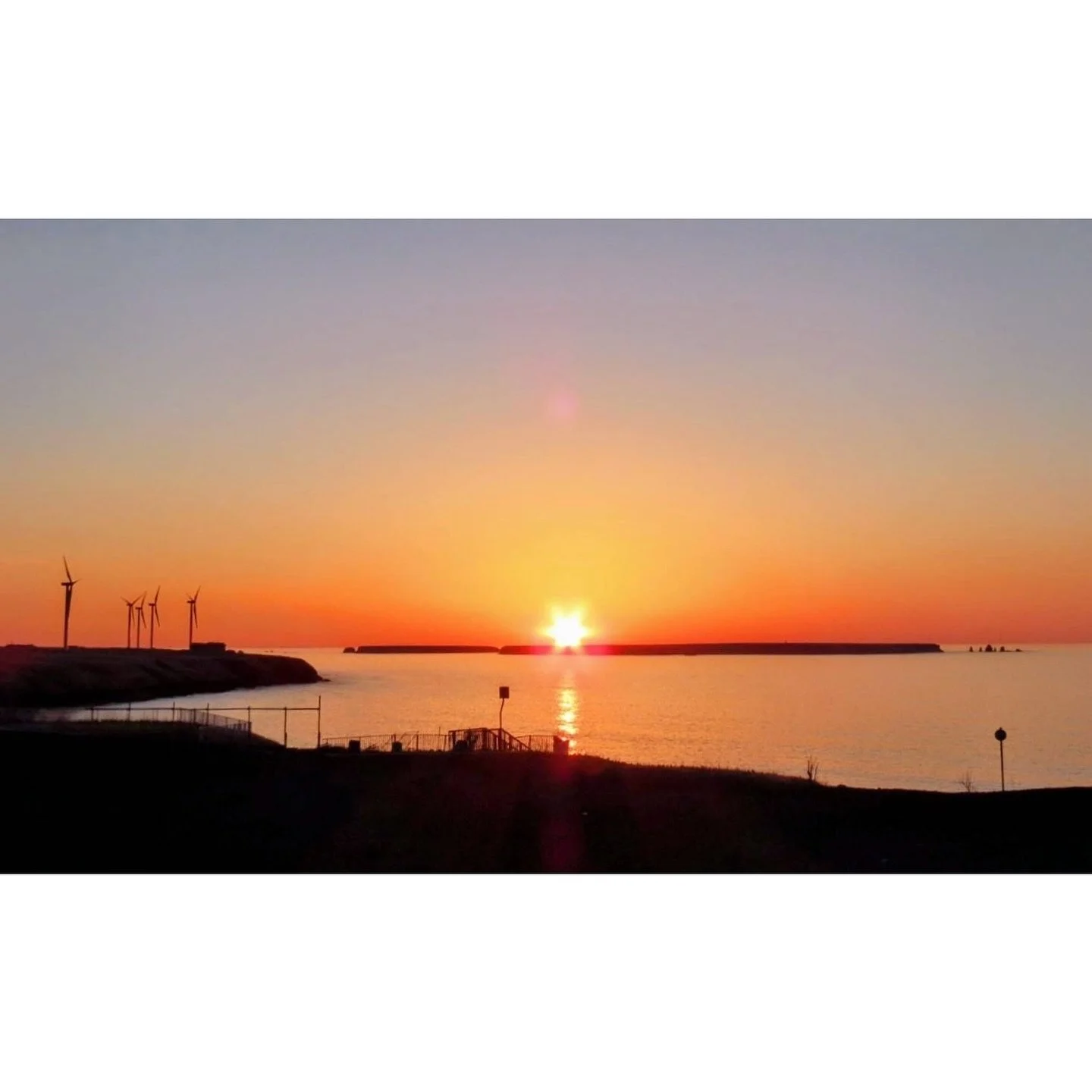 𝐓𝐨𝐝𝐚𝐲 𝐘𝐮𝐫𝐮𝐫𝐢
2026/04/15

Nemuro, Hokkaido, Japan
Photo by Mori Yasuko / Fisherman
Directed by Okada Atsushi

◇ 写真展「ユルリ島の馬」
9月18日（金）- 9月23日（水）
富士フイルムフォトサロン 札幌

10月30日（金）- 11月12日（木）
富士フイルムフォトサロン 大阪

&ndash;

◇ JRA賞馬事文化賞受賞作
書籍『エピタフ 幻の島、ユルリの光跡