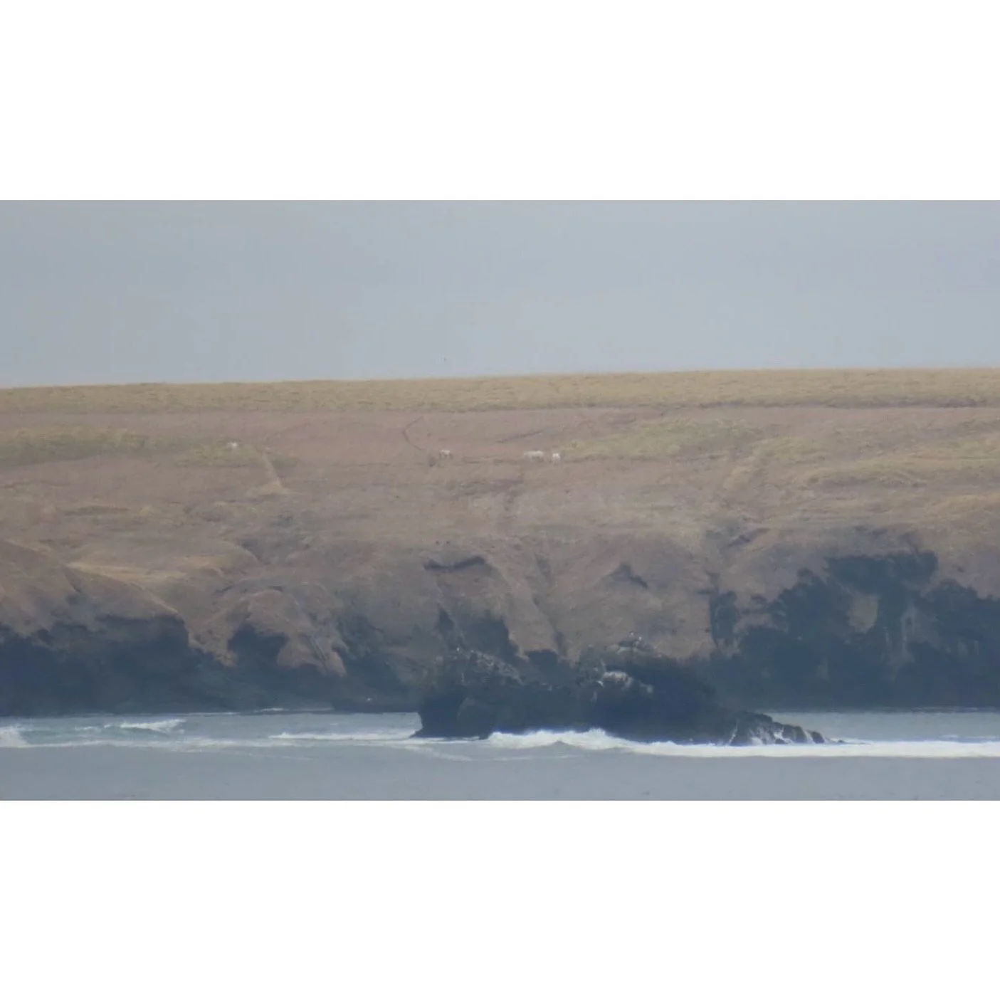 𝐓𝐨𝐝𝐚𝐲 𝐘𝐮𝐫𝐮𝐫𝐢
2026/04/20

Nemuro, Hokkaido, Japan
Photo by Mori Yasuko / Fisherman
Directed by Okada Atsushi

◇ 写真展「ユルリ島の馬」
9月18日（金）- 9月23日（水）
富士フイルムフォトサロン 札幌

10月30日（金）- 11月12日（木）
富士フイルムフォトサロン 大阪

&ndash;

◇ JRA賞馬事文化賞受賞作
書籍『エピタフ 幻の島、ユルリの光跡