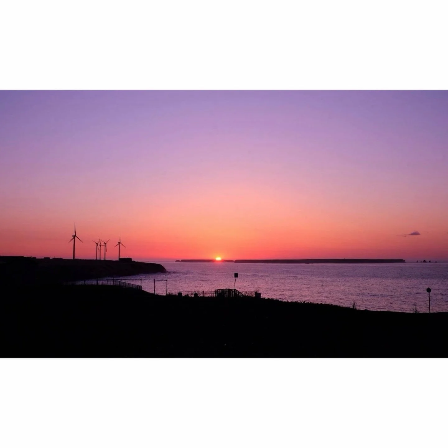 𝐓𝐨𝐝𝐚𝐲 𝐘𝐮𝐫𝐮𝐫𝐢
2026/04/23

Nemuro, Hokkaido, Japan
Photo by Mori Yasuko / Fisherman
Directed by Okada Atsushi

◇ 写真展「ユルリ島の馬」
9月18日（金）- 9月23日（水）
富士フイルムフォトサロン 札幌

10月30日（金）- 11月12日（木）
富士フイルムフォトサロン 大阪

&ndash;

◇ JRA賞馬事文化賞受賞作
書籍『エピタフ 幻の島、ユルリの光跡