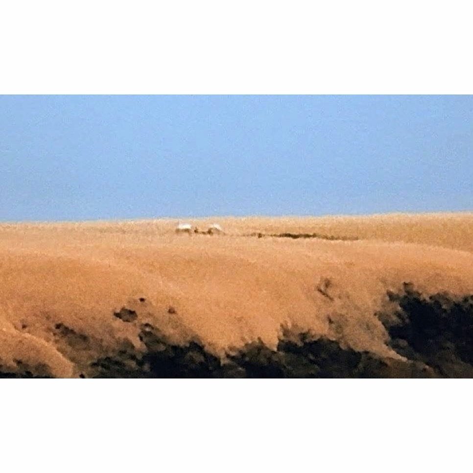 𝐓𝐨𝐝𝐚𝐲 𝐘𝐮𝐫𝐮𝐫𝐢
2026/05/11

Nemuro, Hokkaido, Japan
Photo by Mori Yasuko / Fisherman
Directed by Okada Atsushi

◇ 写真展「ユルリ島の馬」
9月18日（金）- 9月23日（水）
富士フイルムフォトサロン 札幌

10月30日（金）- 11月12日（木）
富士フイルムフォトサロン 大阪

&ndash;

◇ JRA賞馬事文化賞受賞作
書籍『エピタフ 幻の島、ユルリの光跡
