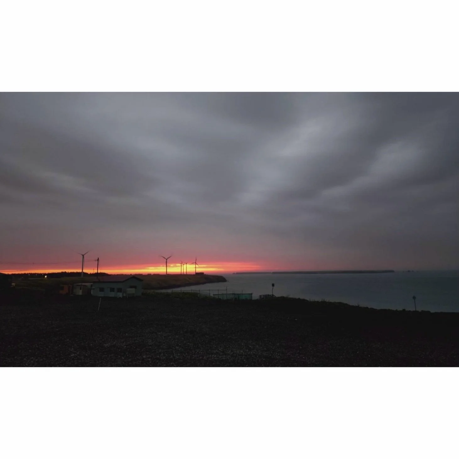 𝐓𝐨𝐝𝐚𝐲 𝐘𝐮𝐫𝐮𝐫𝐢
2026/05/20

Nemuro, Hokkaido, Japan
Photo by Mori Yasuko / Fisherman
Directed by Okada Atsushi

◇ 写真展「ユルリ島の馬」
9月18日（金）- 9月23日（水）
富士フイルムフォトサロン 札幌

10月30日（金）- 11月12日（木）
富士フイルムフォトサロン 大阪

&ndash;

◇ JRA賞馬事文化賞受賞作
書籍『エピタフ 幻の島、ユルリの光跡
