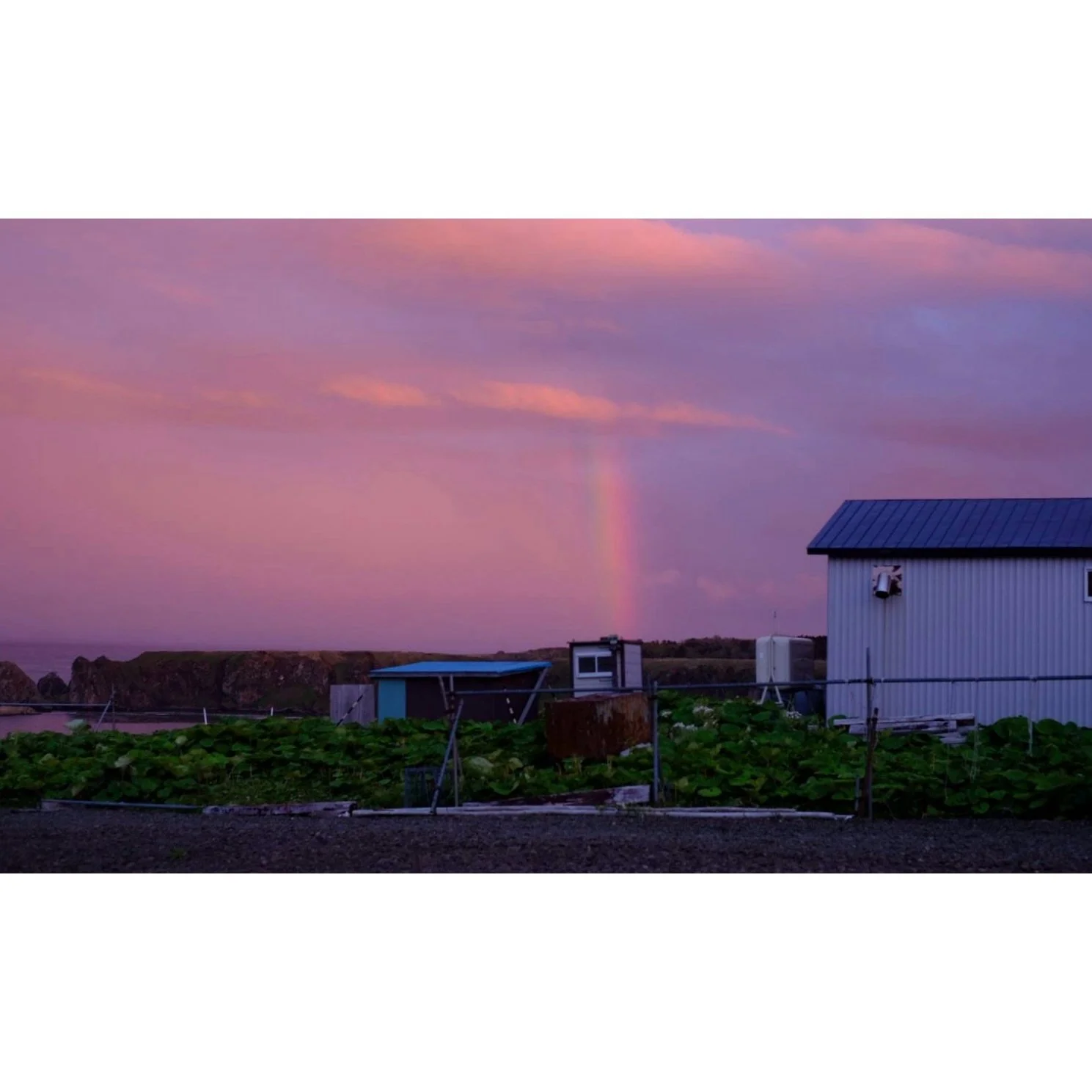 𝐓𝐨𝐝𝐚𝐲 𝐘𝐮𝐫𝐮𝐫𝐢
2026/05/29

Nemuro, Hokkaido, Japan
Photo by Mori Yasuko / Fisherman
Directed by Okada Atsushi

◇ 写真展「ユルリ島の馬」
9月18日（金）- 9月23日（水）
富士フイルムフォトサロン 札幌

10月30日（金）- 11月12日（木）
富士フイルムフォトサロン 大阪

&ndash;

◇ JRA賞馬事文化賞受賞作
書籍『エピタフ 幻の島、ユルリの光跡