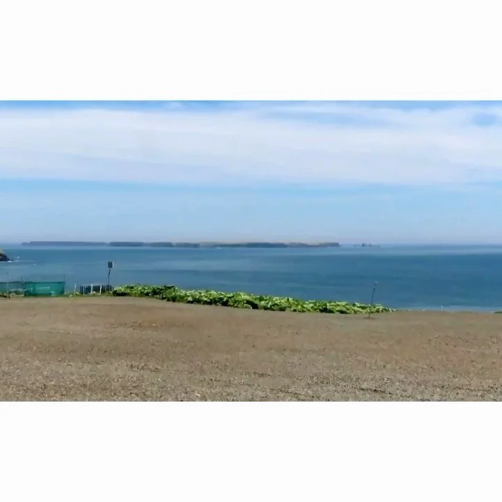 𝐓𝐨𝐝𝐚𝐲 𝐘𝐮𝐫𝐮𝐫𝐢
2026/06/03

Nemuro, Hokkaido, Japan
Photo by Mori Yasuko / Fisherman
Directed by Okada Atsushi

◇ 札幌芸術の森開園40周年記念
Flowering Garden「花と獣 いろとかたち」
&nbsp;7月11日（土）- 9月27日（日）
札幌芸術の森美術館
&nbsp;
◇ 写真展「ユルリ島の馬」
9月18日（金）- 9月23日（水）
富士フイルムフォト