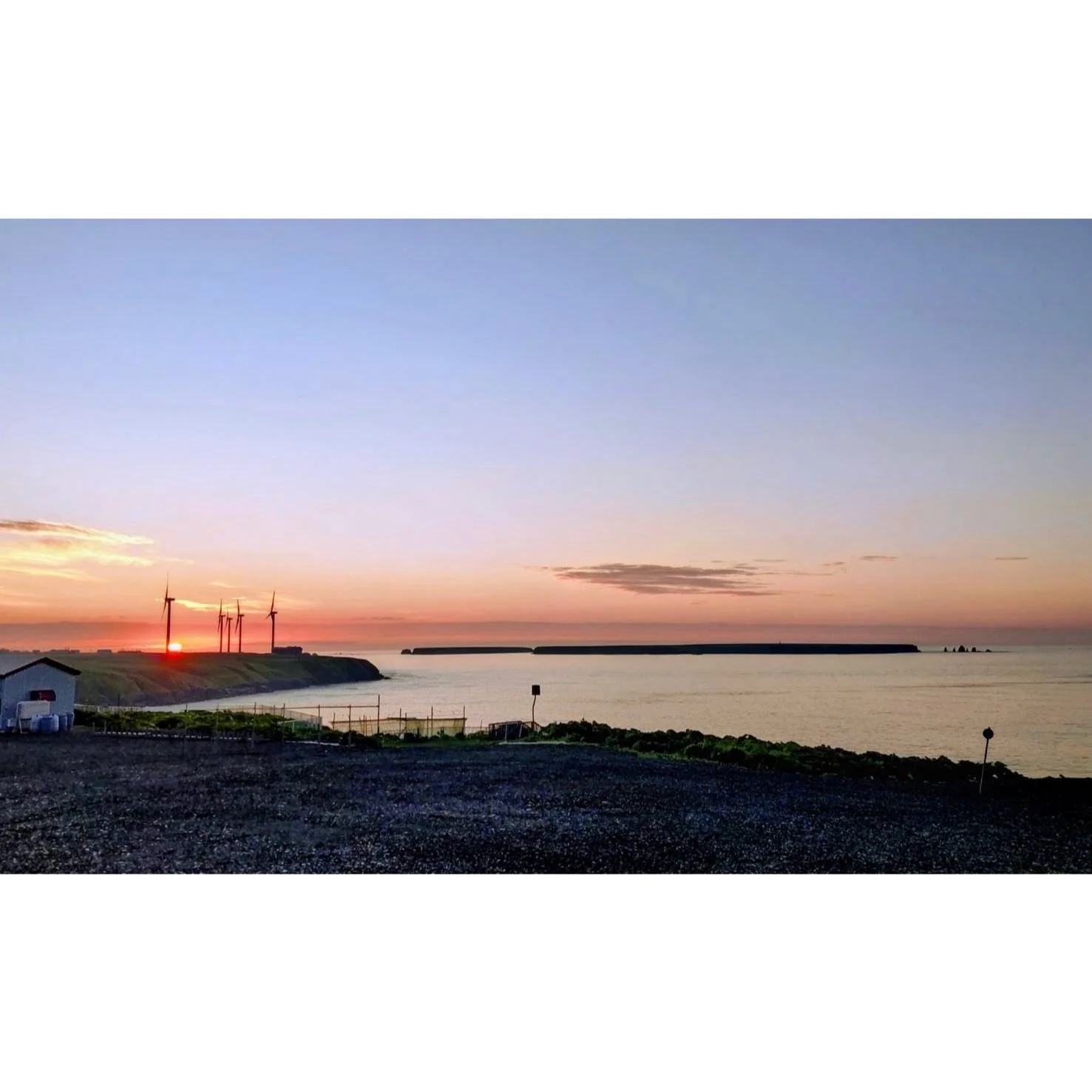 𝐓𝐨𝐝𝐚𝐲 𝐘𝐮𝐫𝐮𝐫𝐢
2026/06/11

Nemuro, Hokkaido, Japan
Photo by Mori Yasuko / Fisherman
Directed by Okada Atsushi

◇ 札幌芸術の森開園40周年記念
Flowering Garden「花と獣 いろとかたち」
&nbsp;7月11日（土）- 9月27日（日）
札幌芸術の森美術館
&nbsp;
◇ 写真展「ユルリ島の馬」
9月18日（金）- 9月23日（水）
富士フイルムフォト