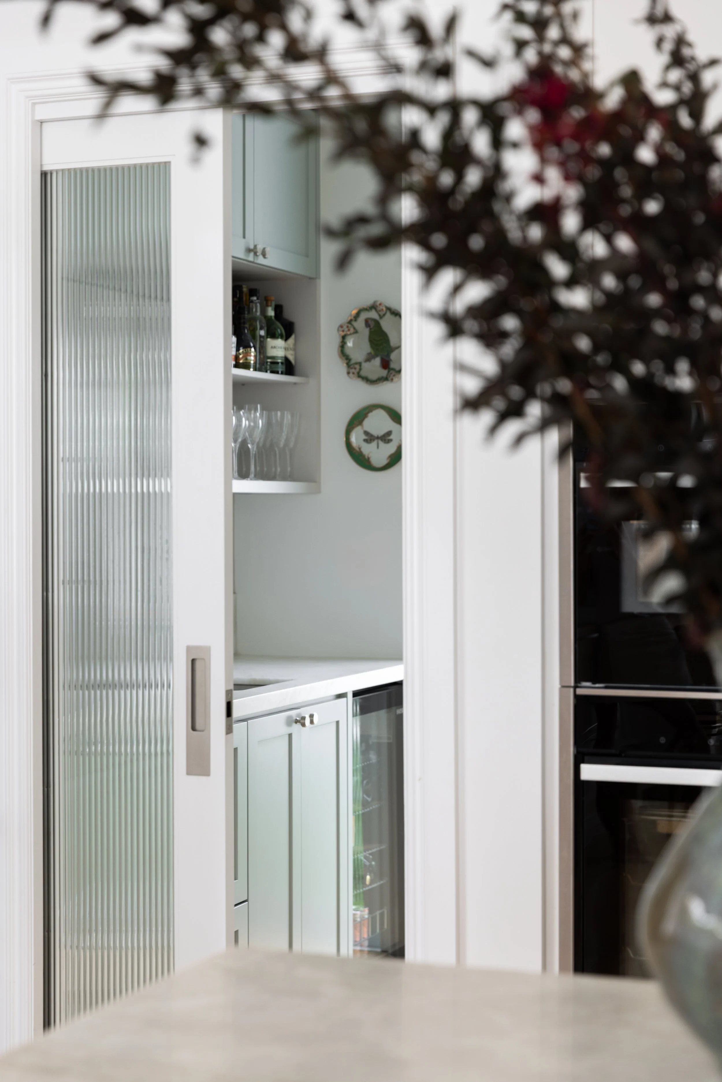 DVDS_alexanderst_088 (1).jpg