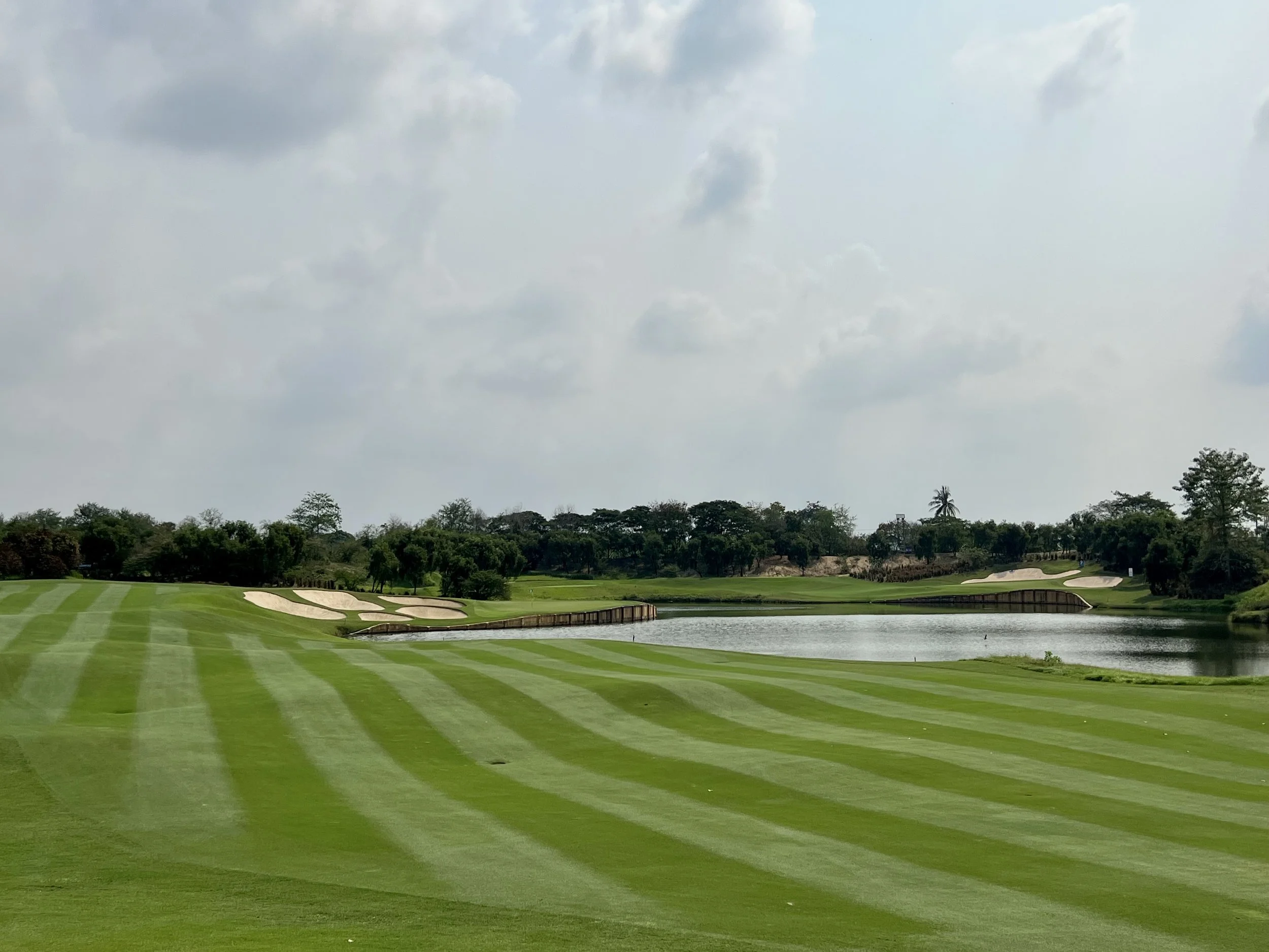 2025 Year in Review | A Year of Momentum and Meaningful Progress