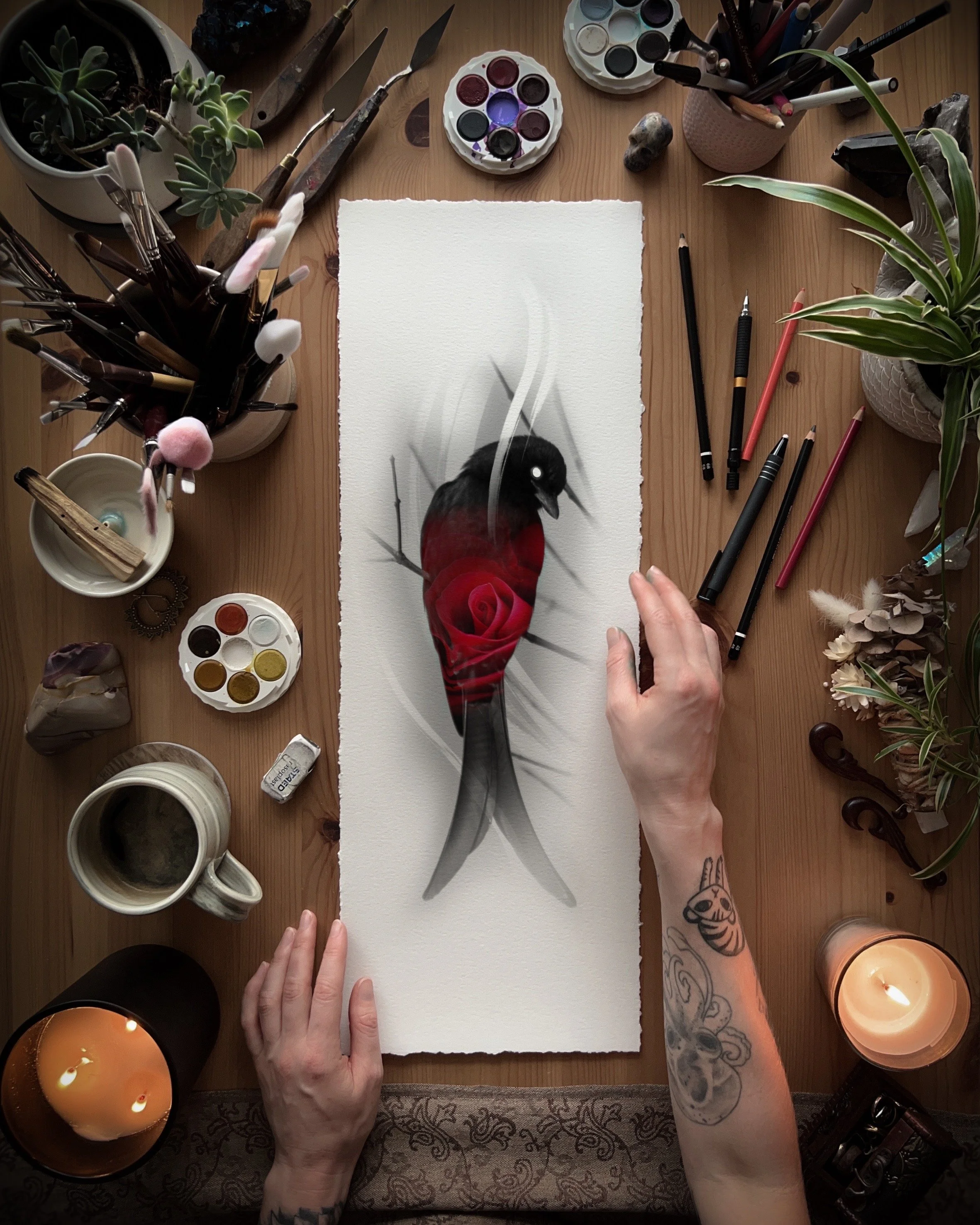 Dark Rose Swallowtail