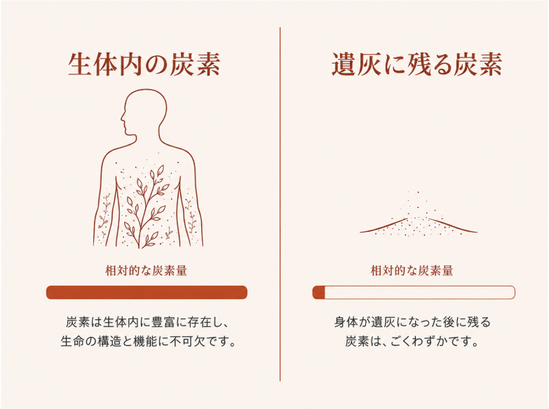 生きた身体とは異なり、火葬後の遺灰には炭酸塩として少量の炭素だけが残る
