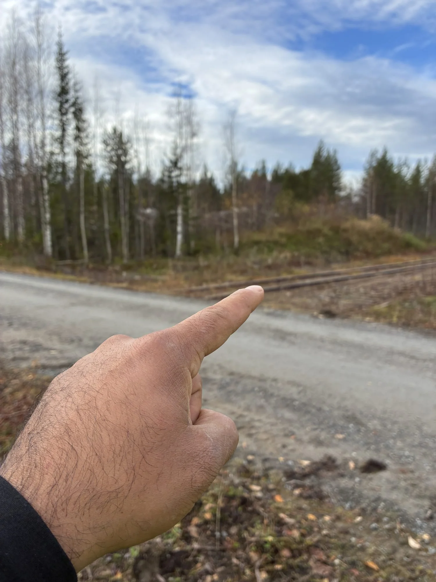 Hand pekar ut över avverkat skogsområde vid grusväg