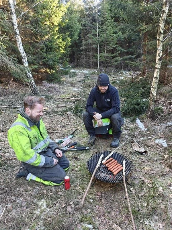 🌲🔍 Fältgeoteknik, där kontoret saknar väggar..