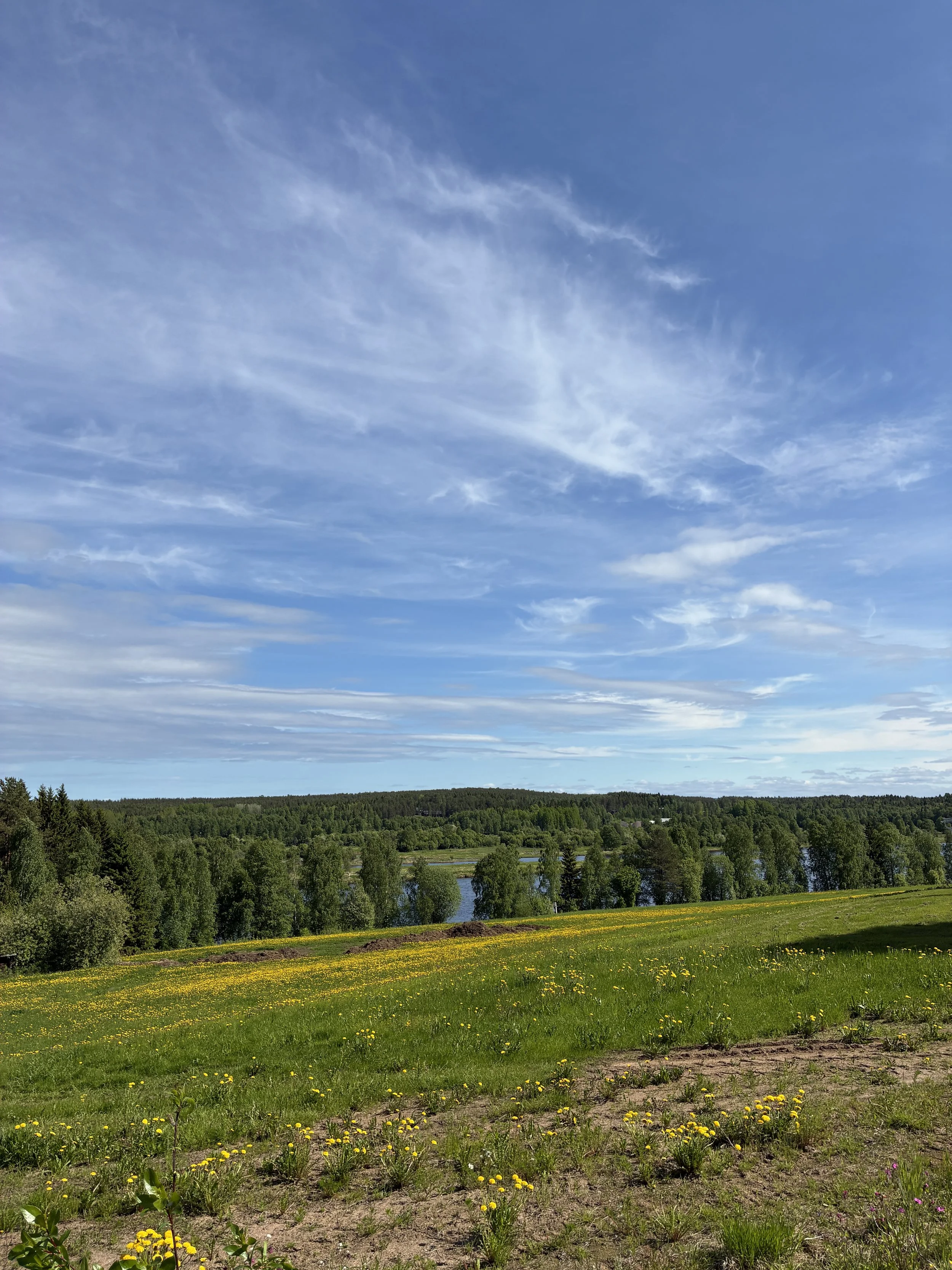 På vägen mot Rödupp, Kalixälven längre ner.JPG