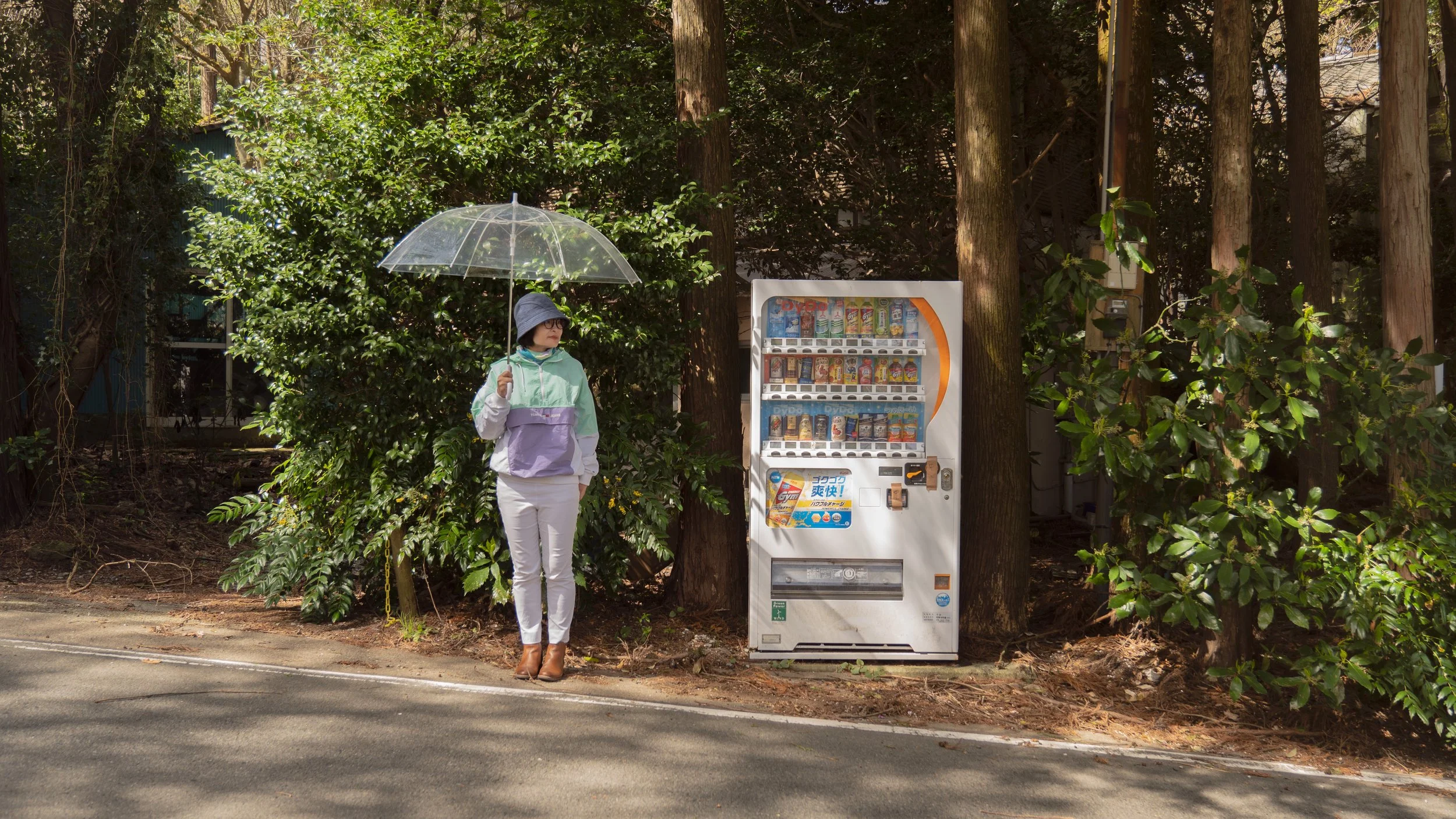 APH05329 2.jpg