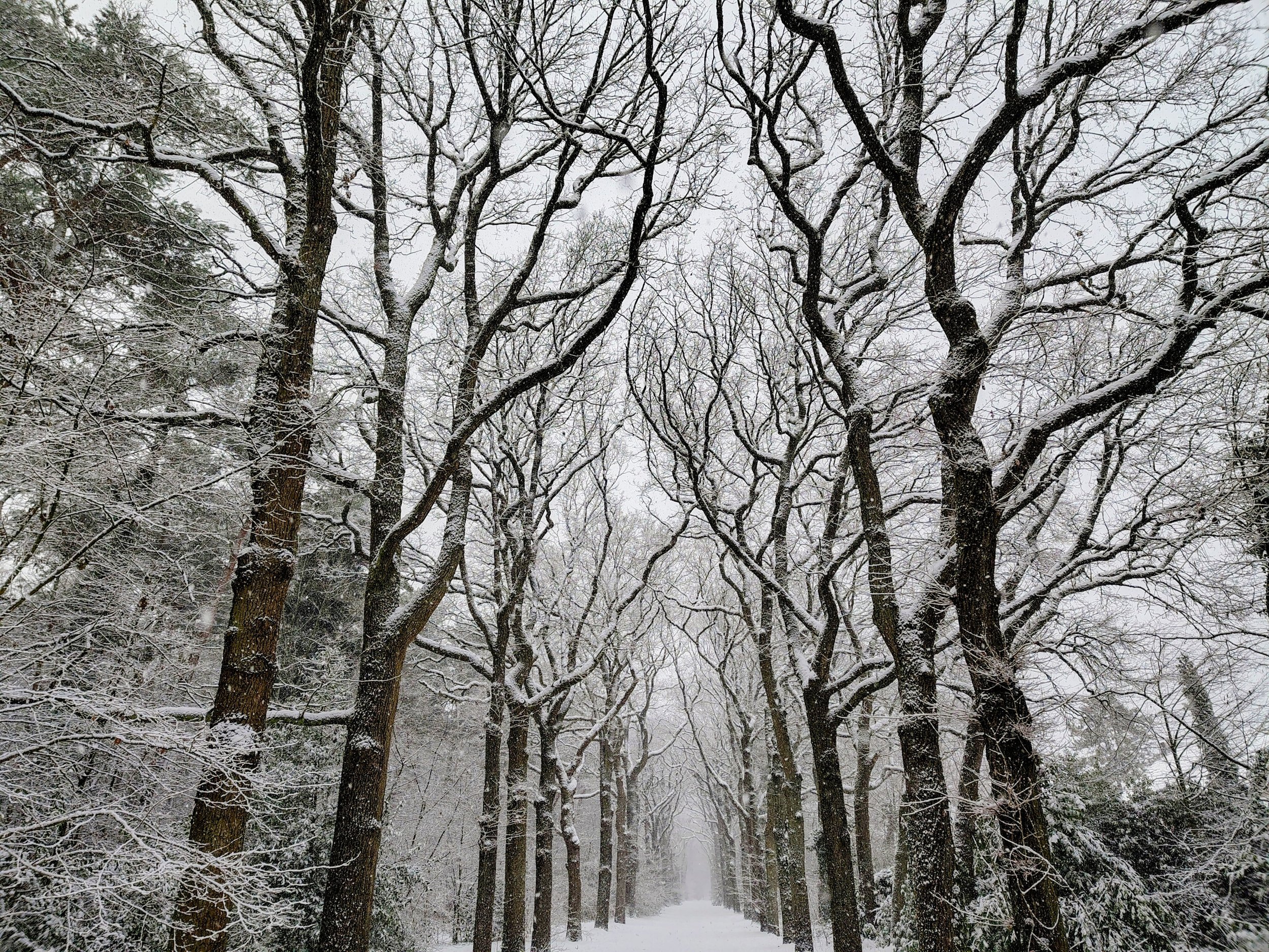 Iets nieuws ontdekken over jezelf
