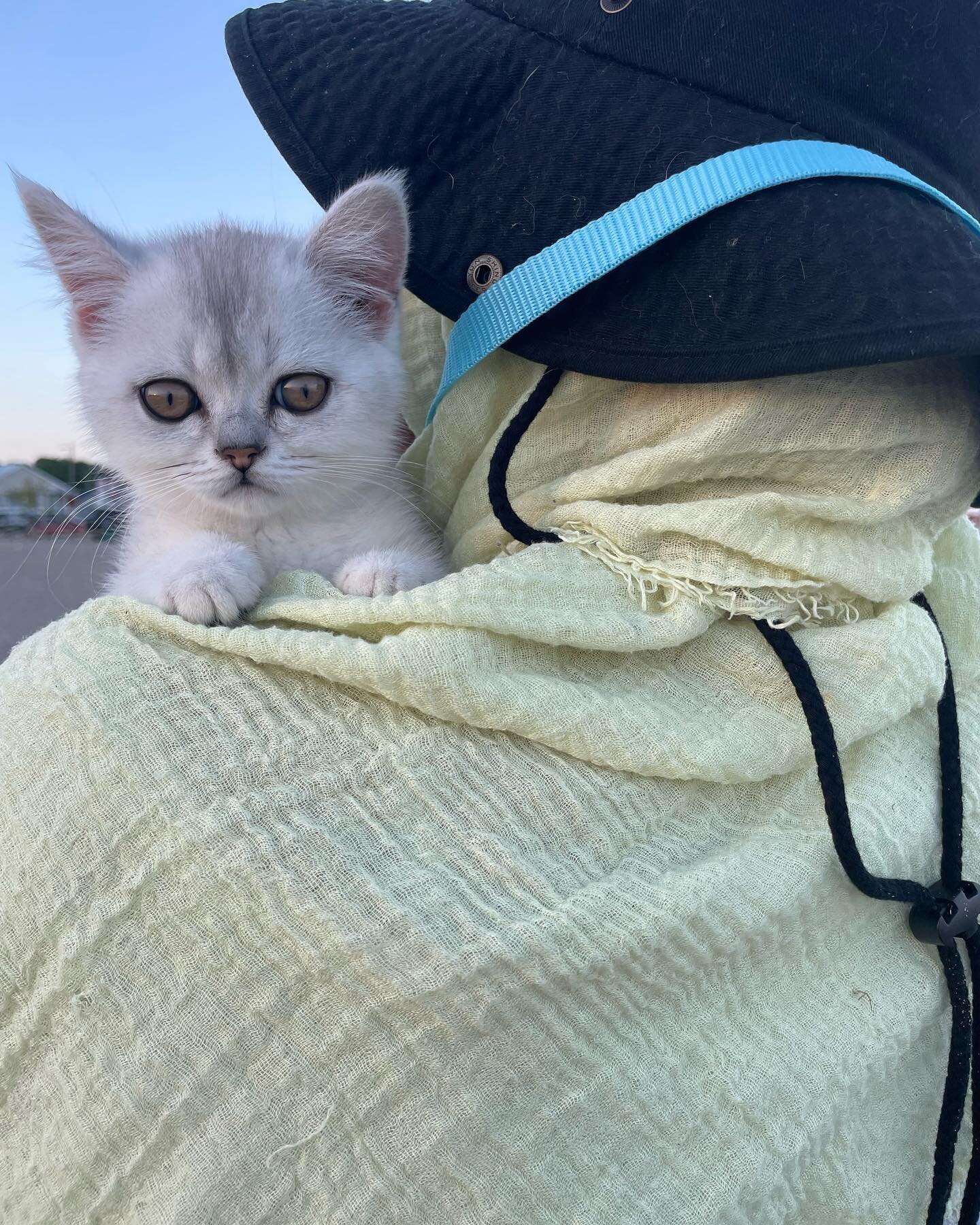 eid mubarak friends! &bull; To celebrate eid and the finale of our summer programming, we took honorary racialized leaders member &ldquo;Mochi&rdquo; to the beach to practice community care 💛

Thank you to everyone who attended &ldquo;Envisioning an