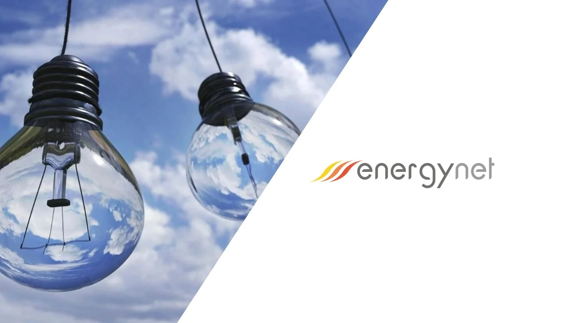 Hands-On LCA Training Helps Energynet Deliver New Value to Clients