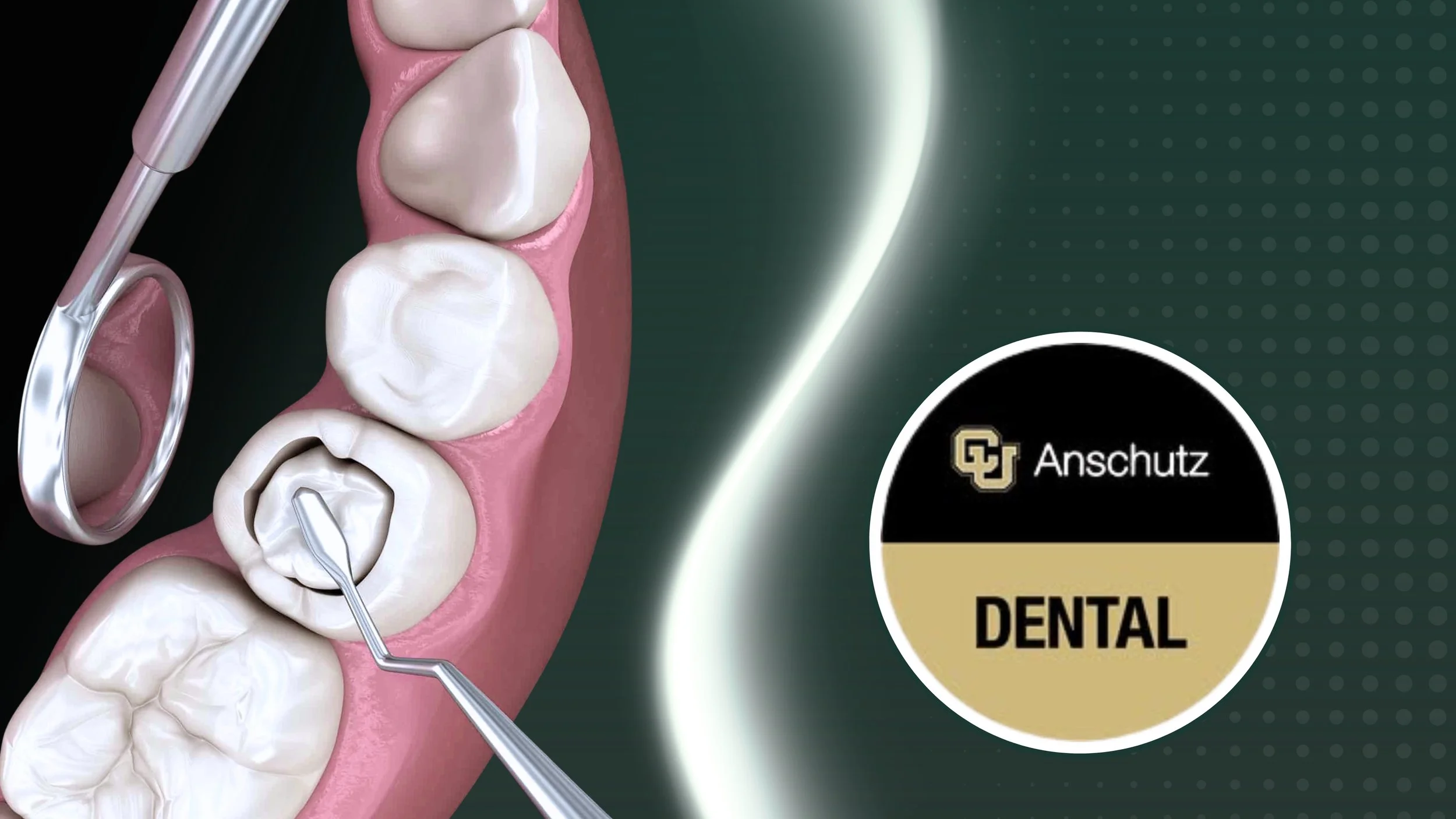 Becoming Part of the Solution: How Devatha Nair Applied Hands-On LCA to Dental Care