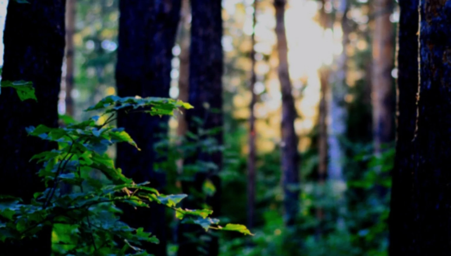 Learn to do LCA - LCA training program for employees — Environmental ...