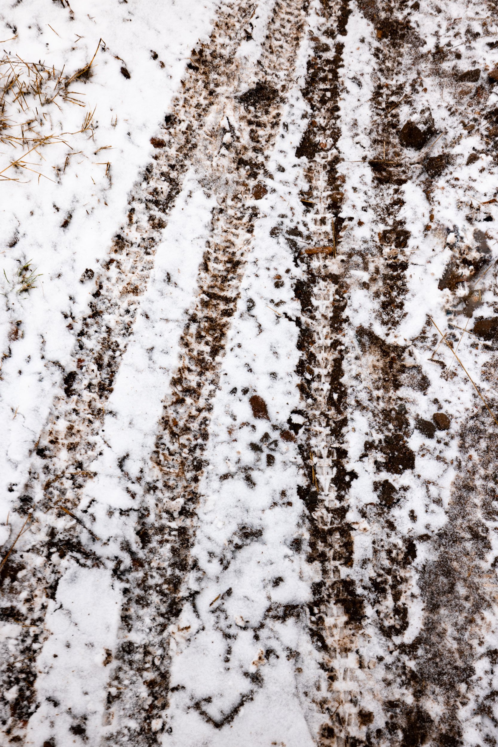 snowy-bike-tracks